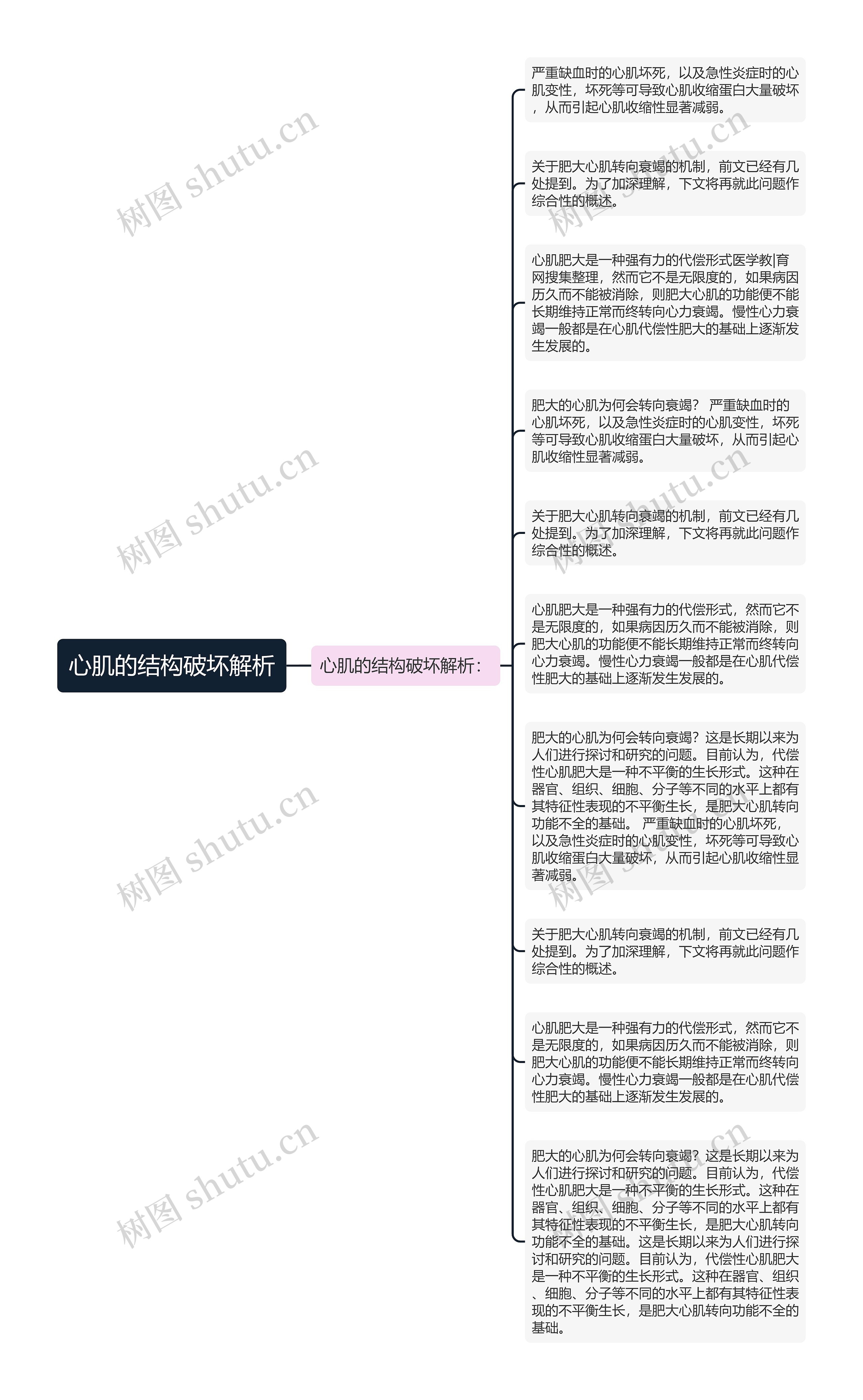 心肌的结构破坏解析思维导图