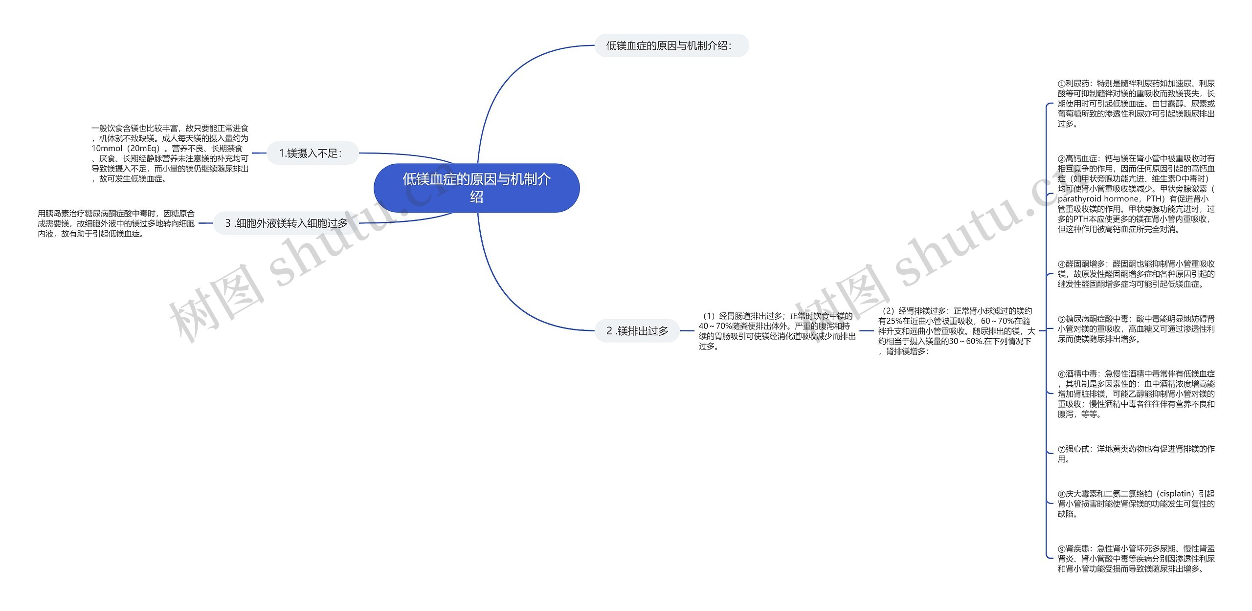 低镁血症的原因与机制介绍思维导图