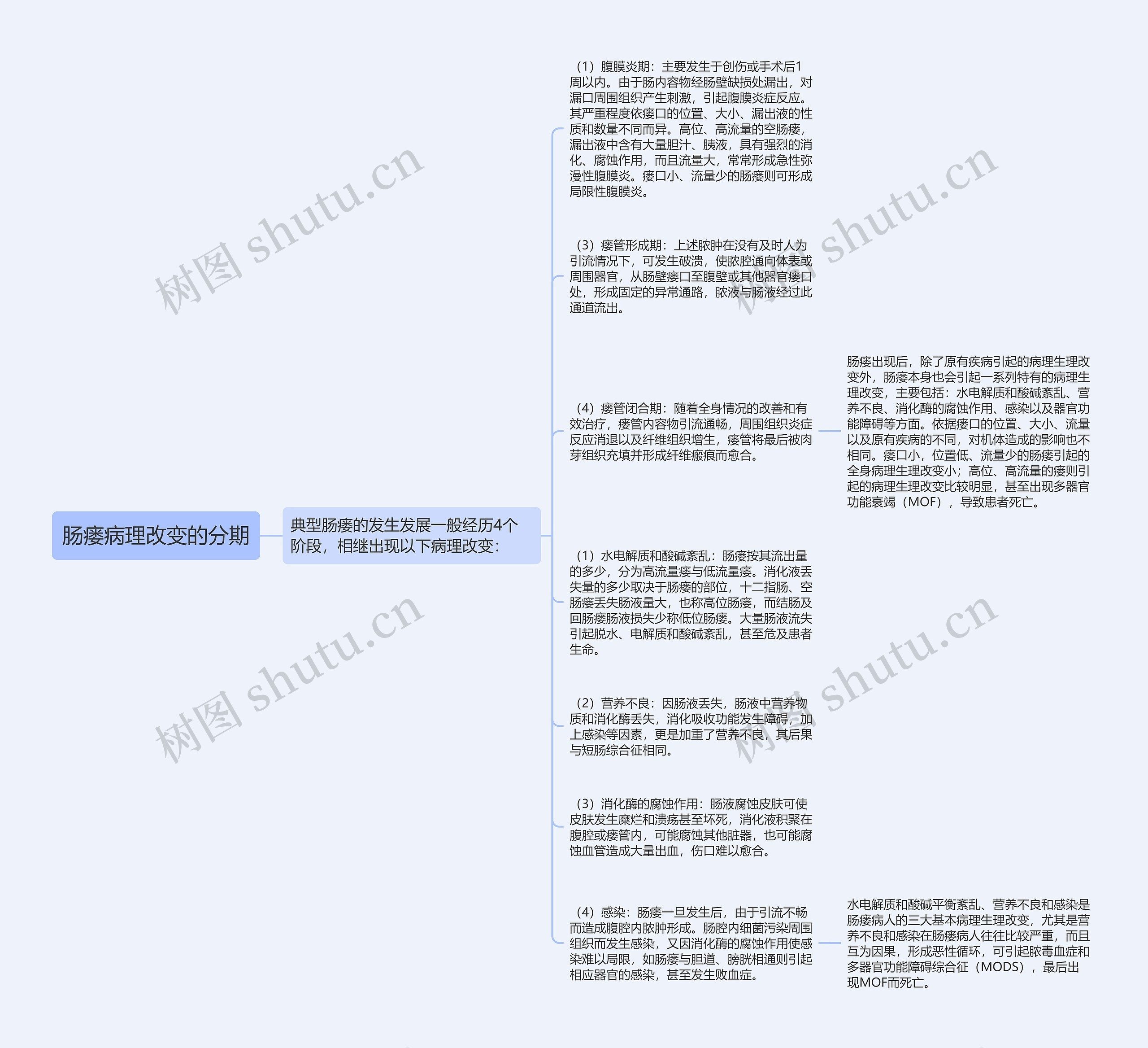 肠瘘病理改变的分期思维导图