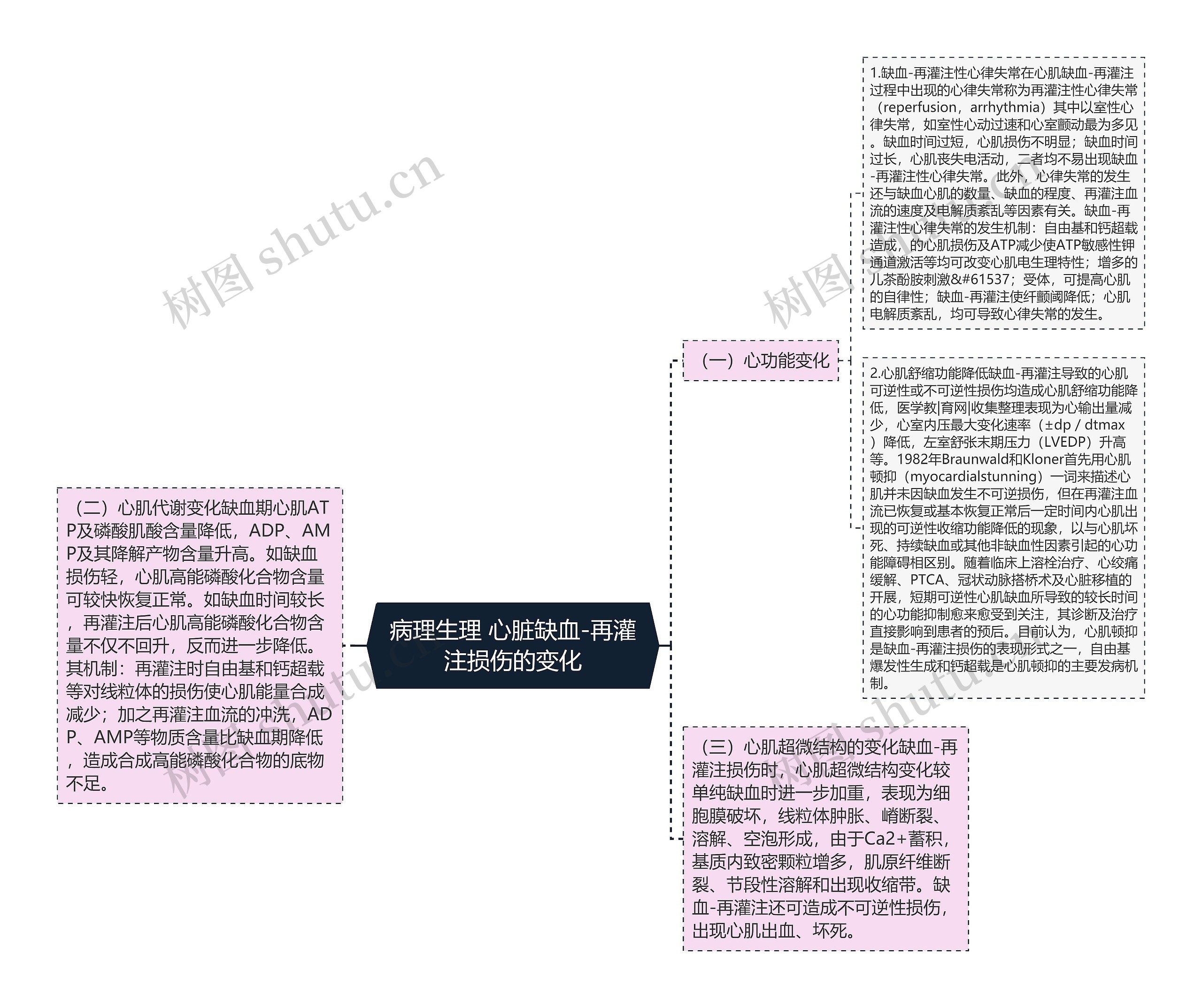 病理生理 心脏缺血-再灌注损伤的变化思维导图