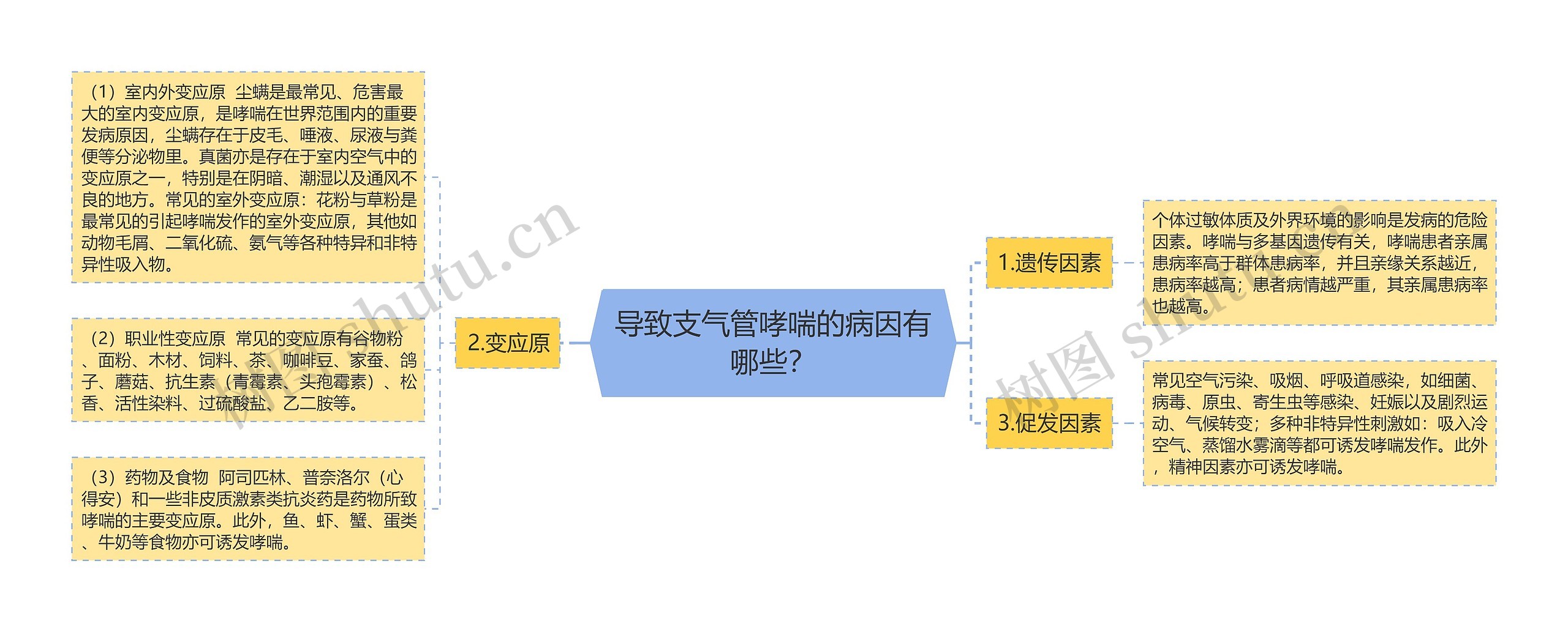 导致支气管哮喘的病因有哪些？思维导图