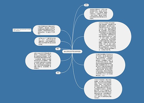 瑞士的知识产权保护规定