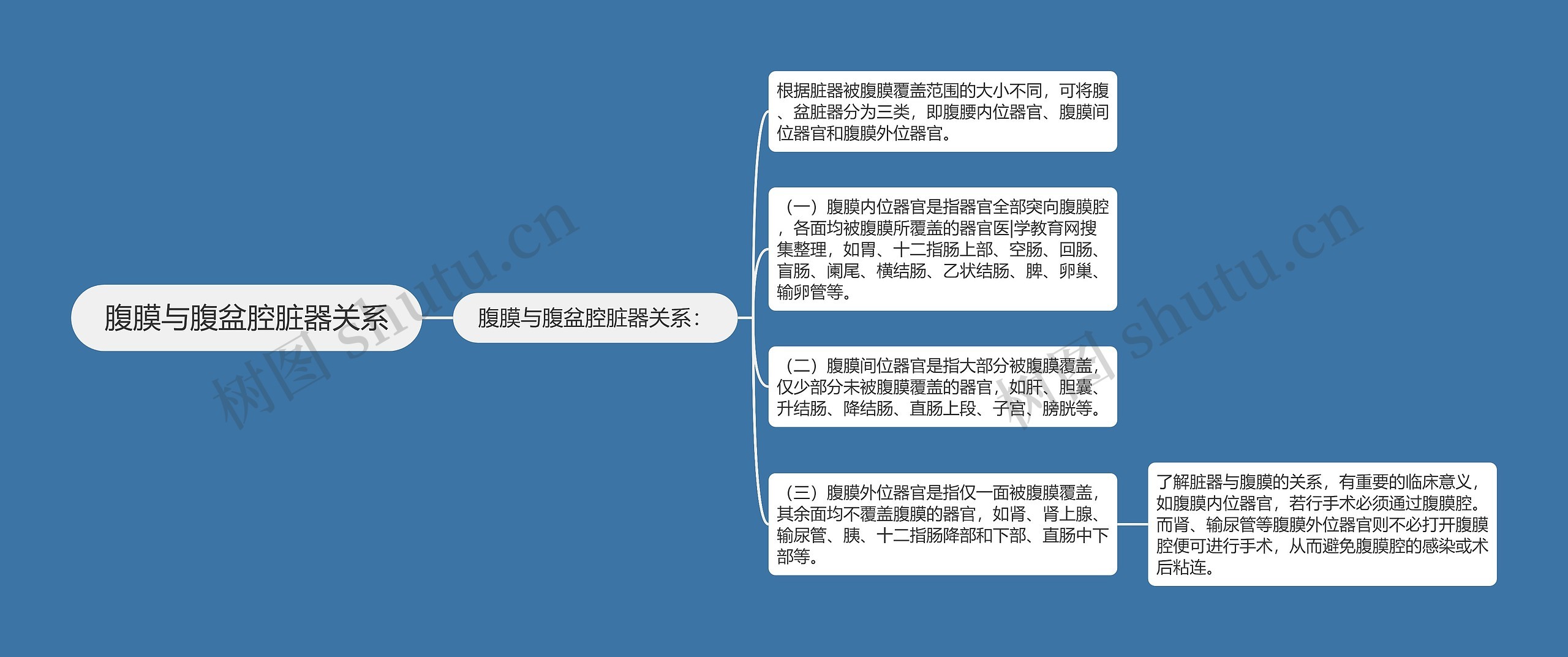 腹膜与腹盆腔脏器关系 腹膜与腹盆腔脏器关系
