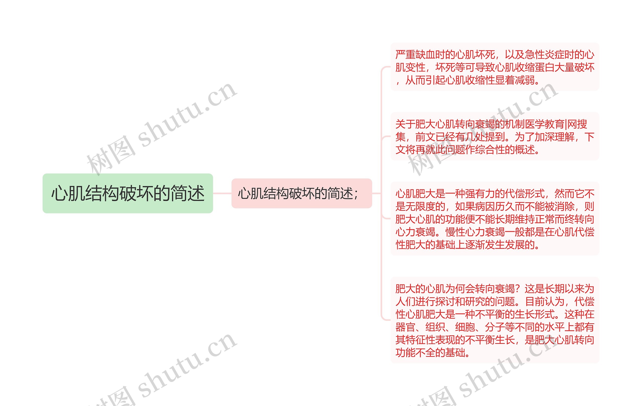 心肌结构破坏的简述思维导图