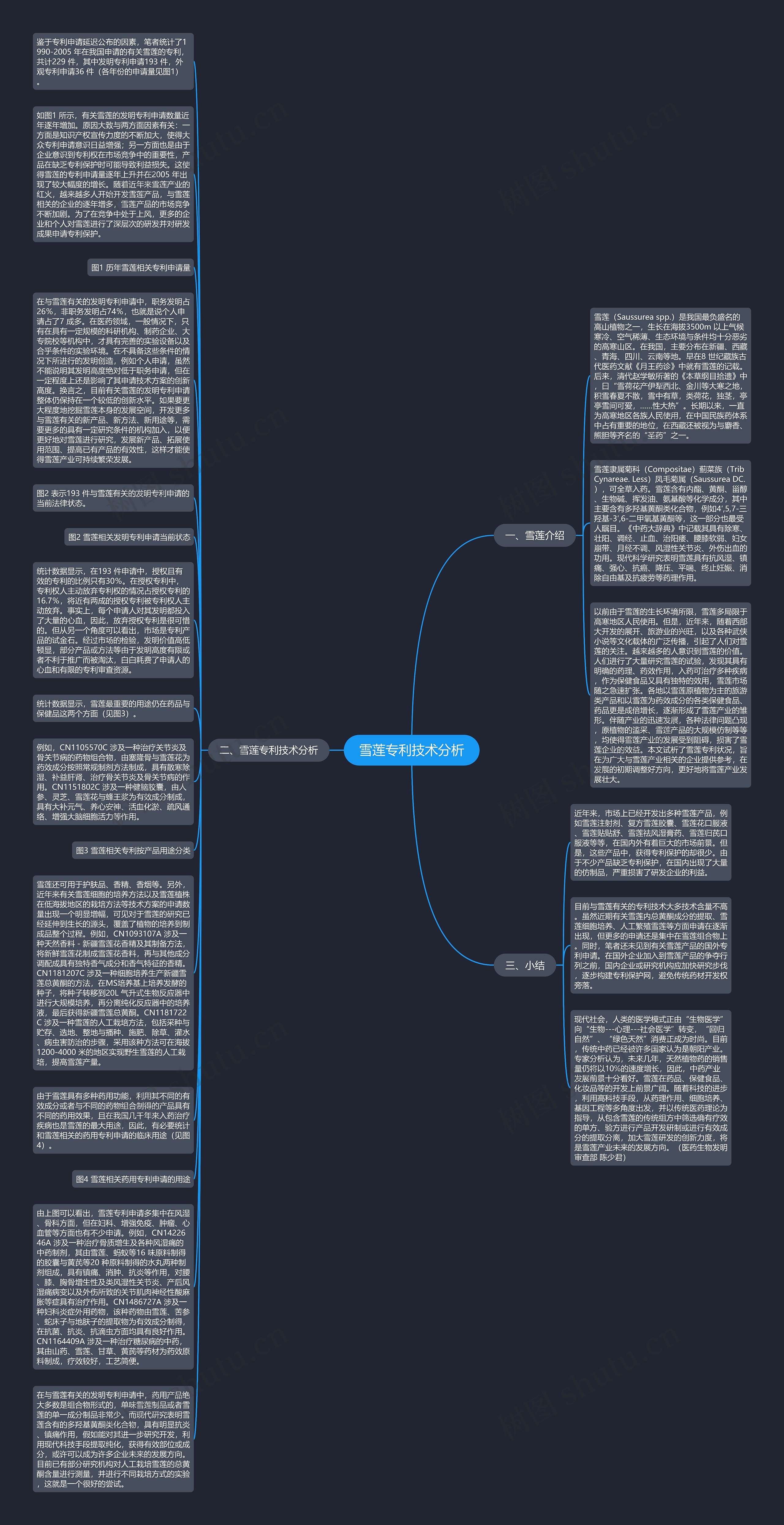 雪莲专利技术分析思维导图