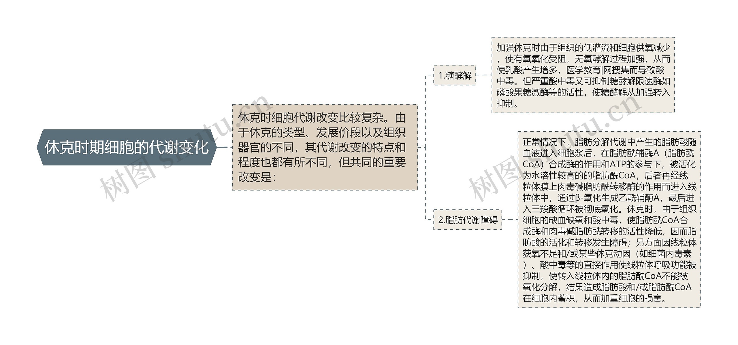 休克时期细胞的代谢变化