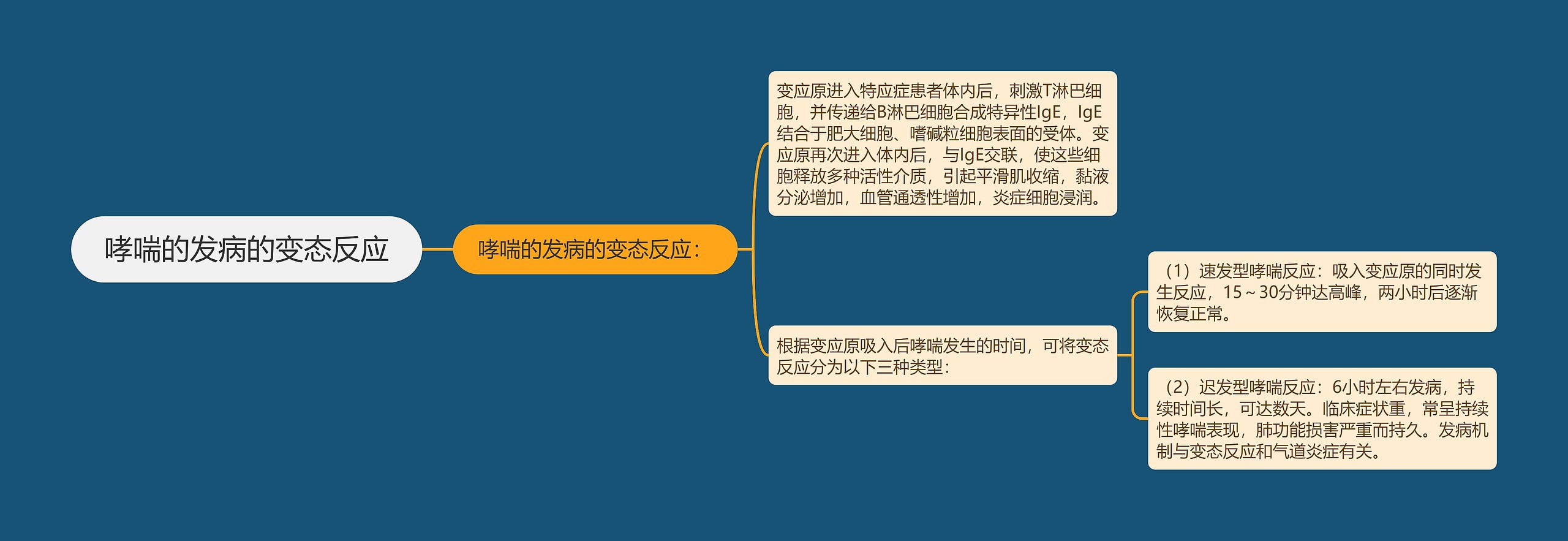 哮喘的发病的变态反应 哮喘的发病的变态反应