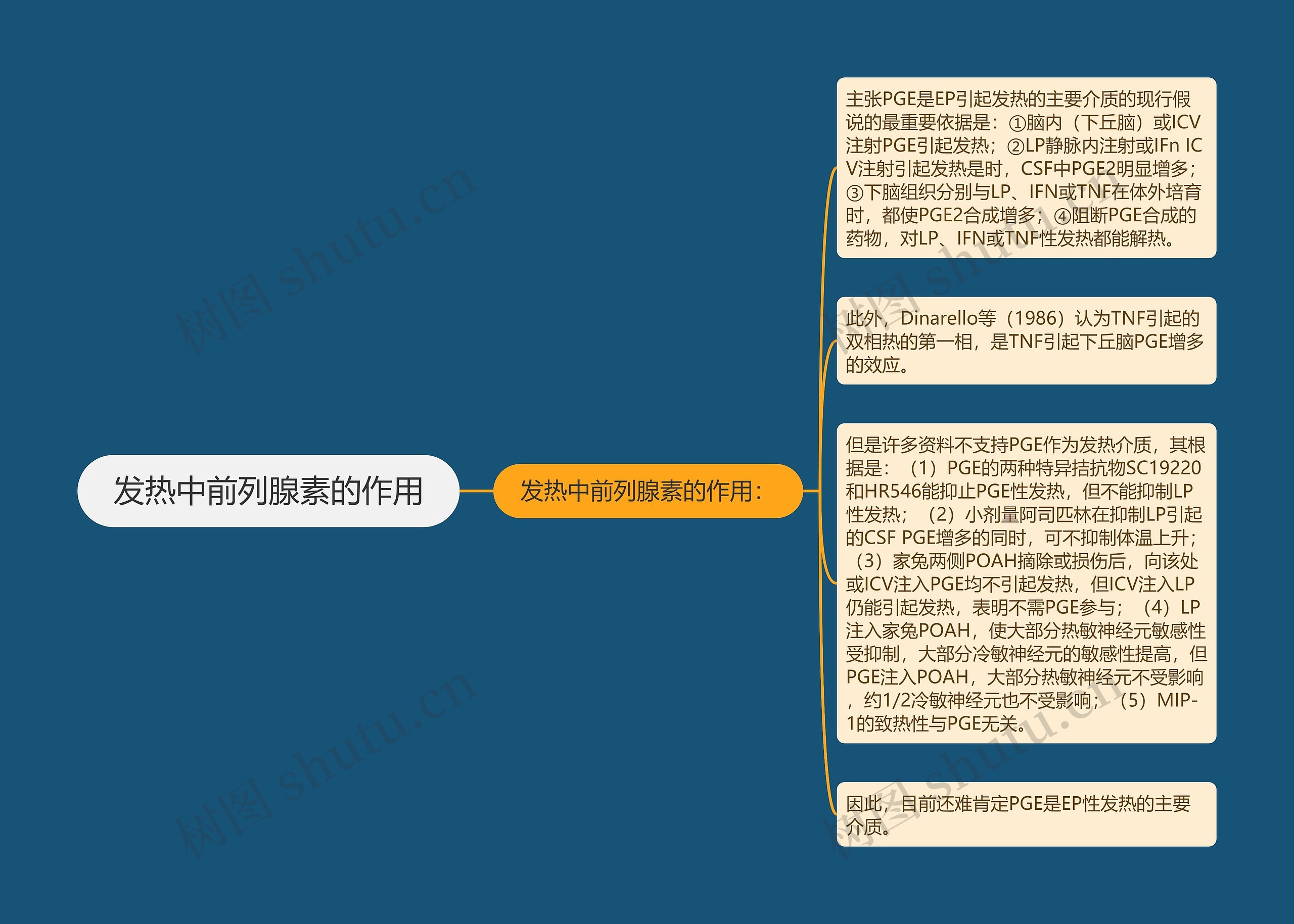 发热中前列腺素的作用