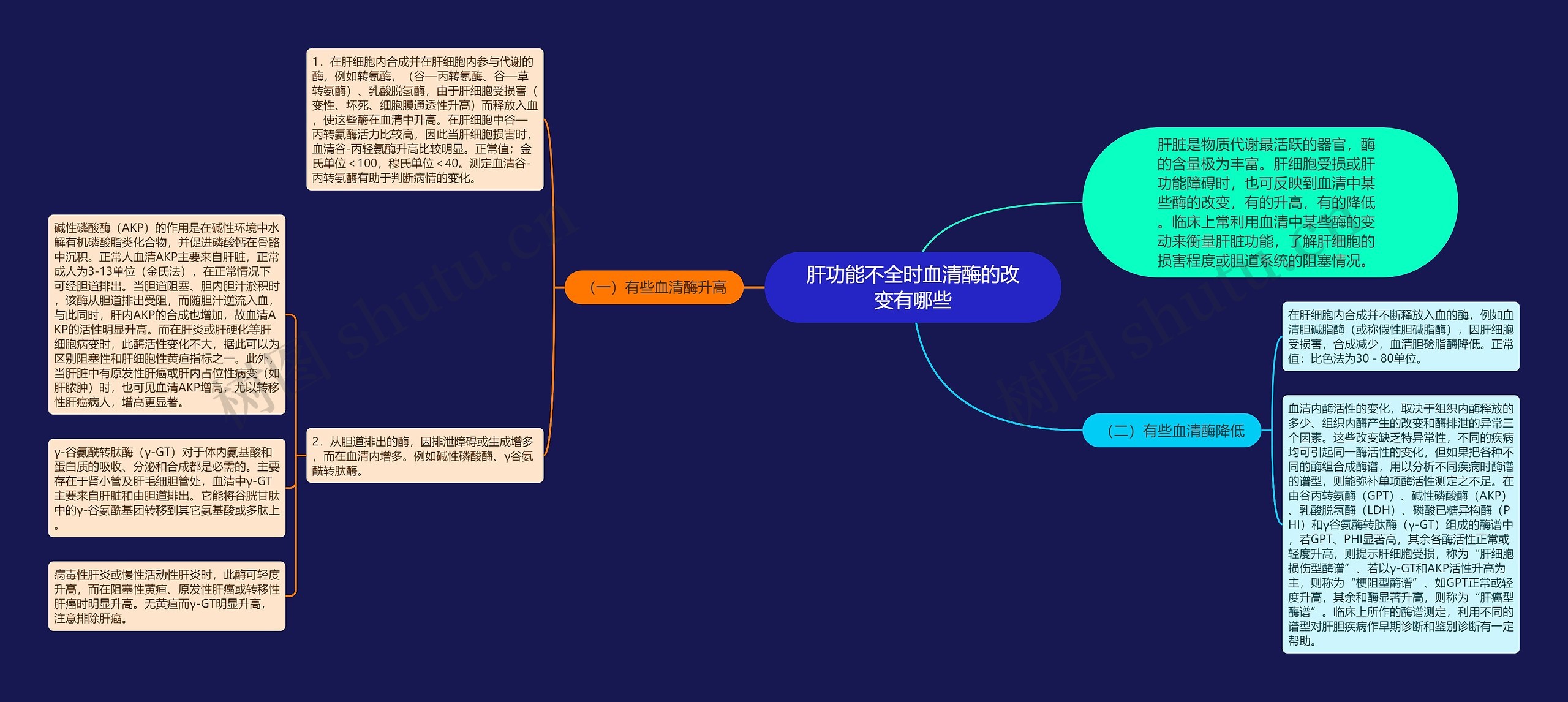 肝功能不全时血清酶的改变有哪些思维导图