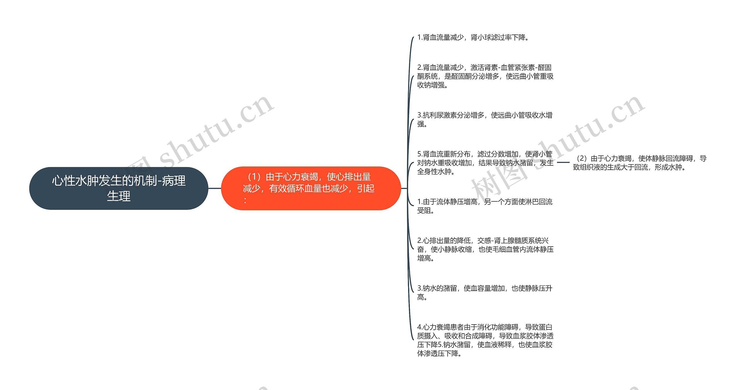 心性水肿发生的机制-病理生理