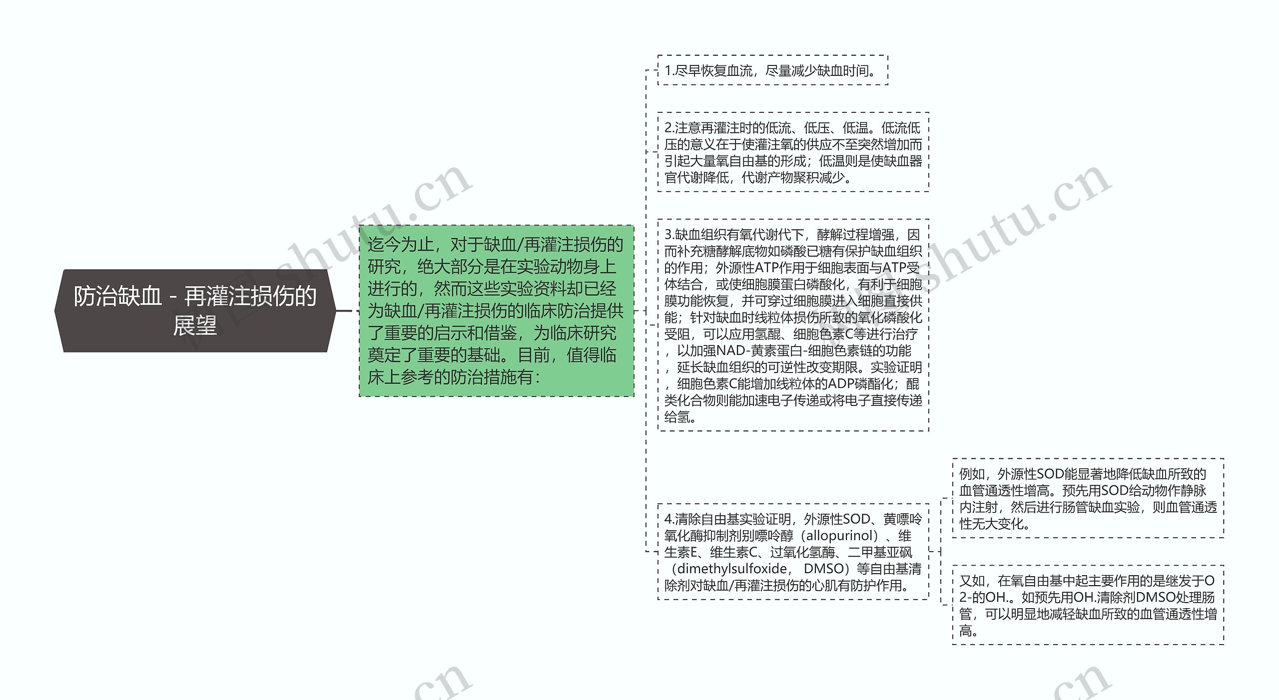 防治缺血－再灌注损伤的展望