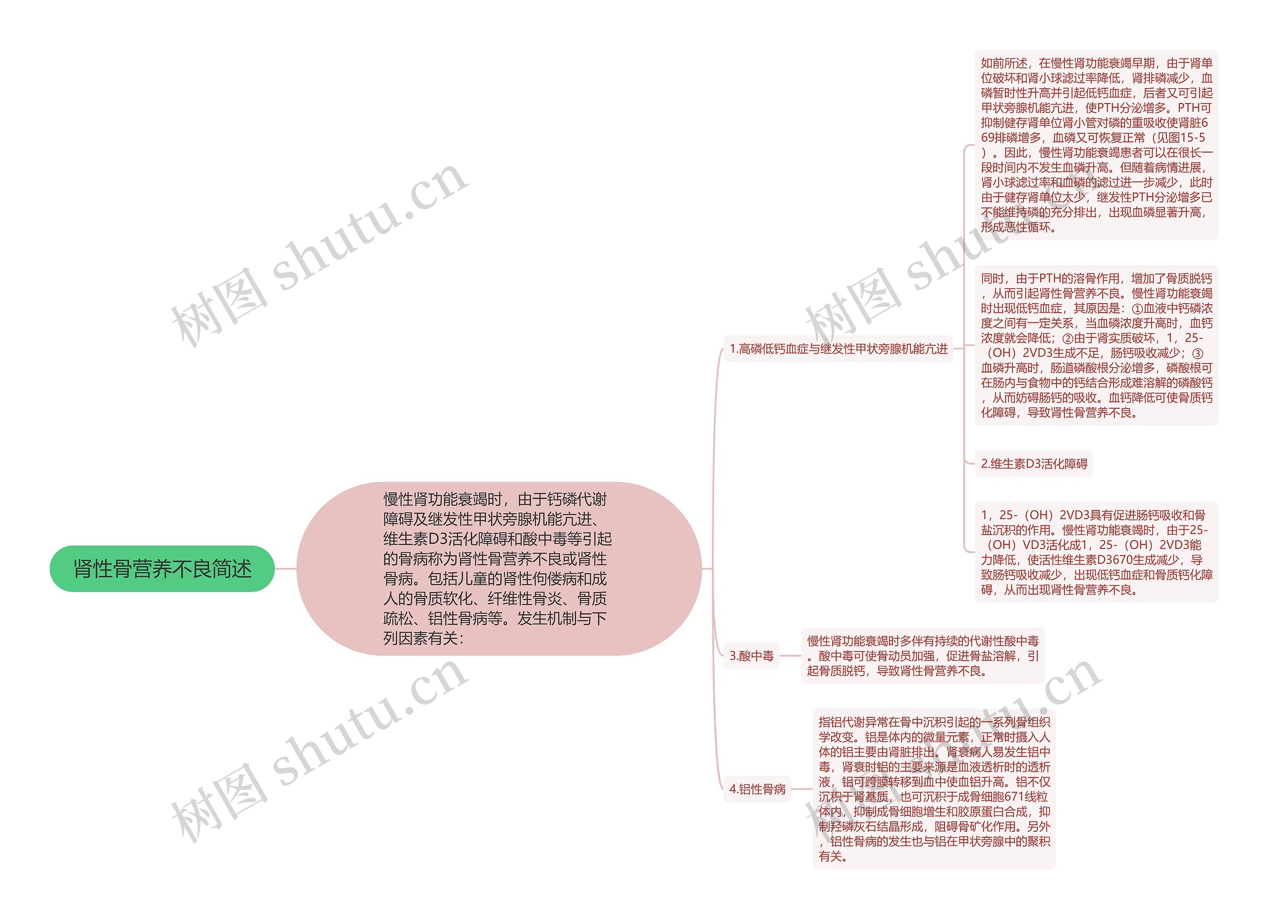 肾性骨营养不良简述思维导图