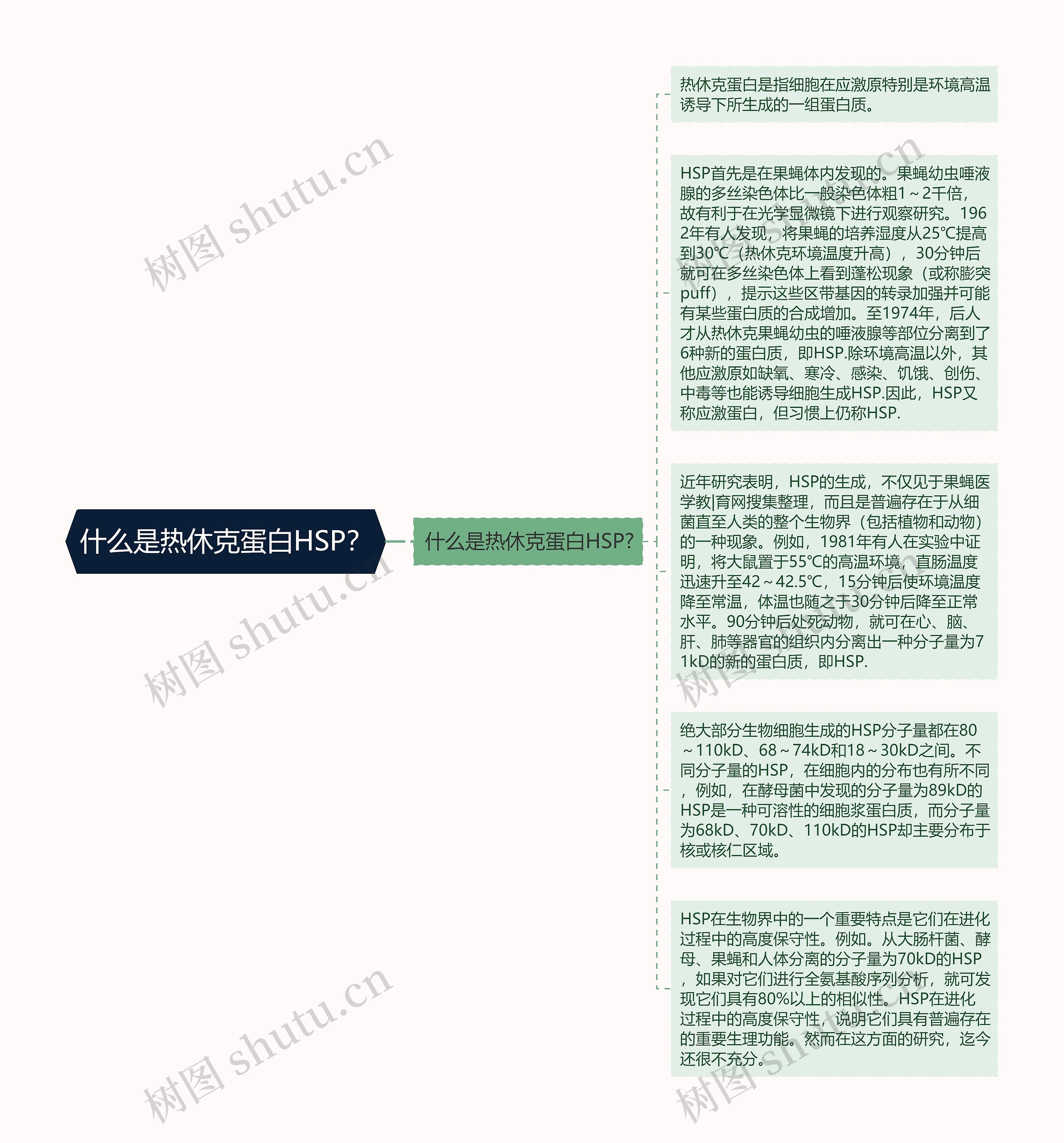 什么是热休克蛋白HSP？思维导图