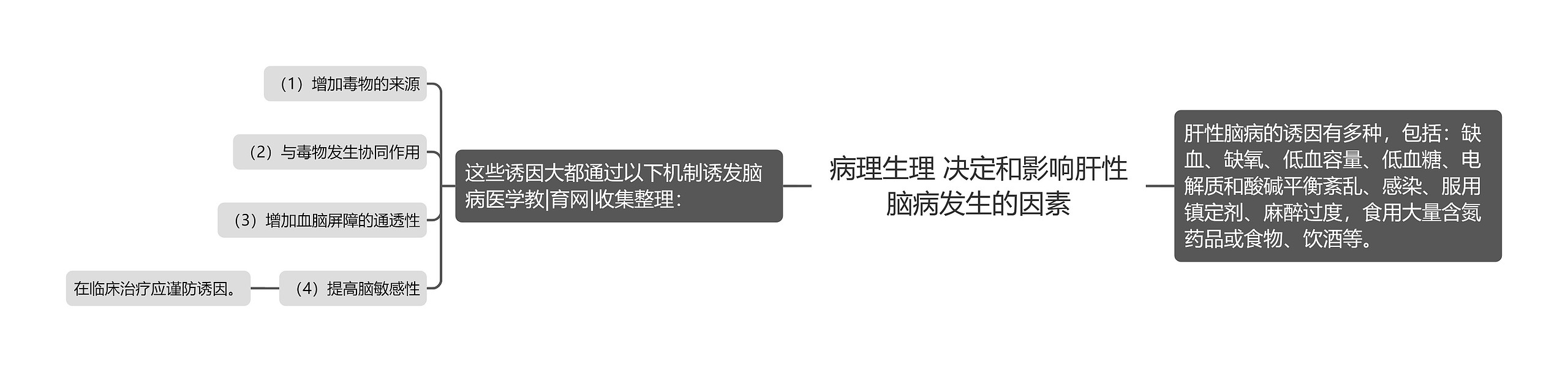 病理生理 决定和影响肝性脑病发生的因素思维导图