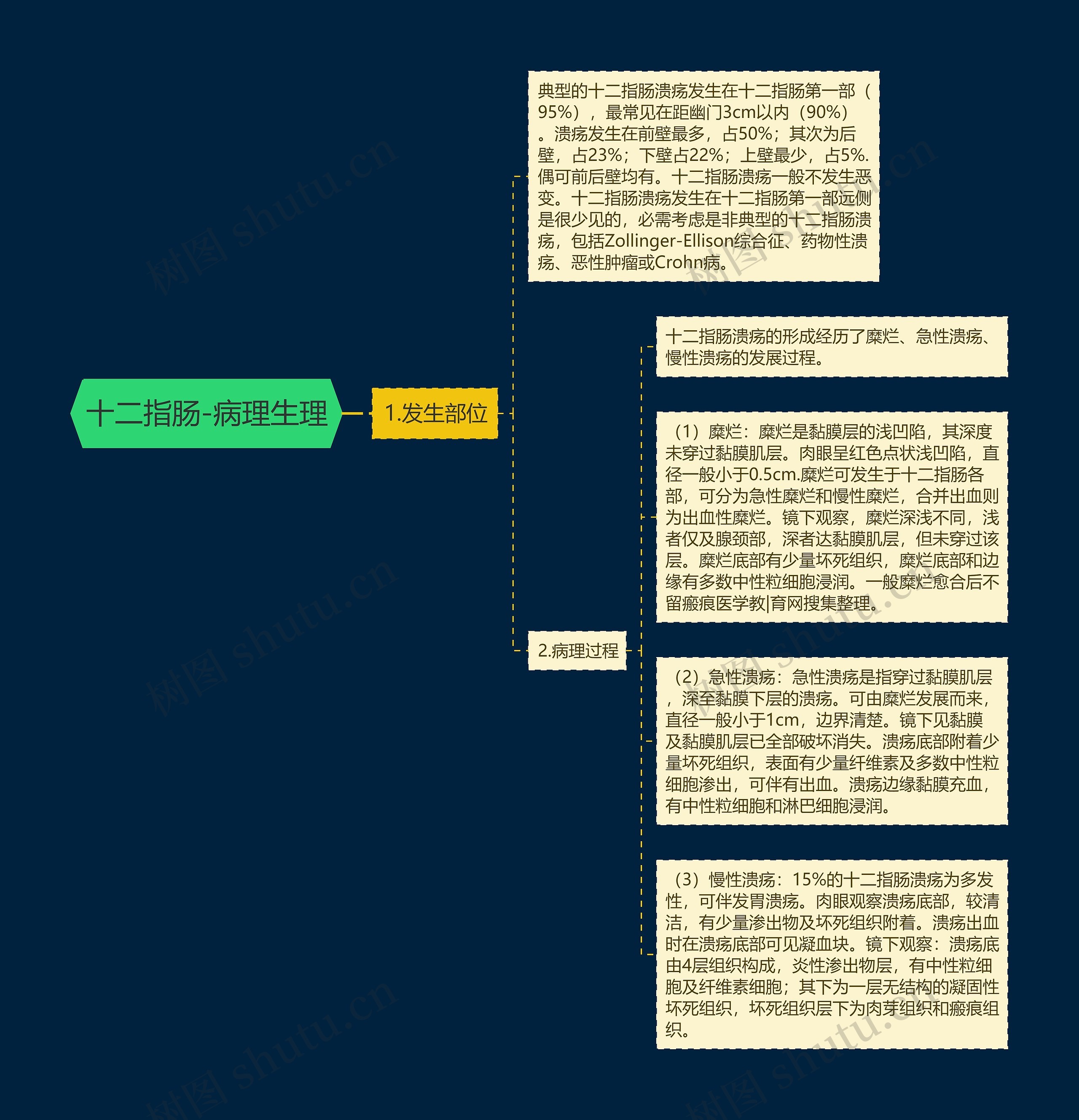 十二指肠-病理生理思维导图