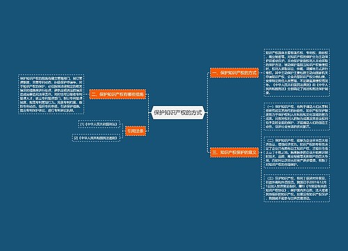 保护知识产权的方式
