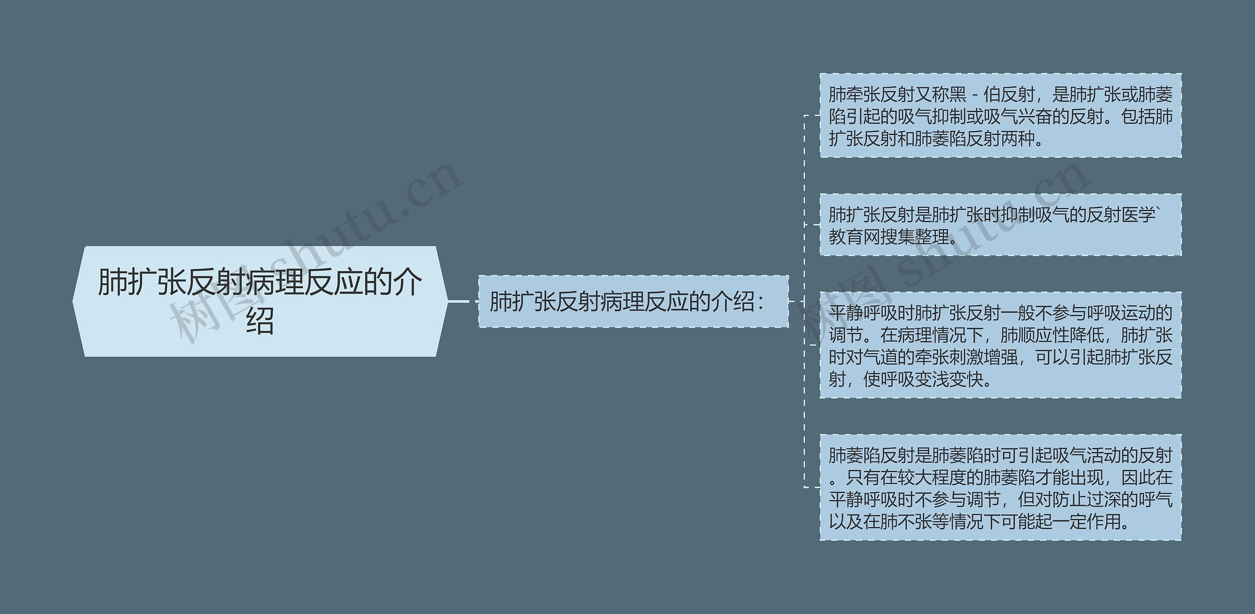 肺扩张反射病理反应的介绍思维导图