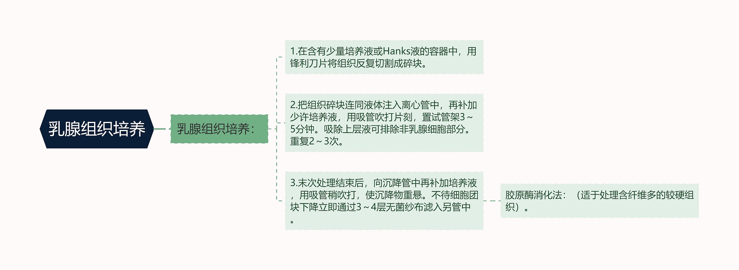 乳腺组织培养思维导图