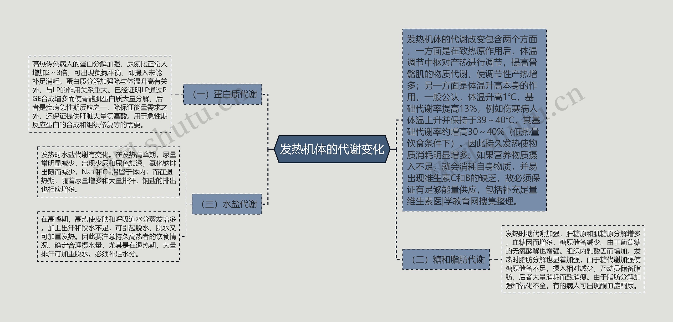 发热机体的代谢变化思维导图