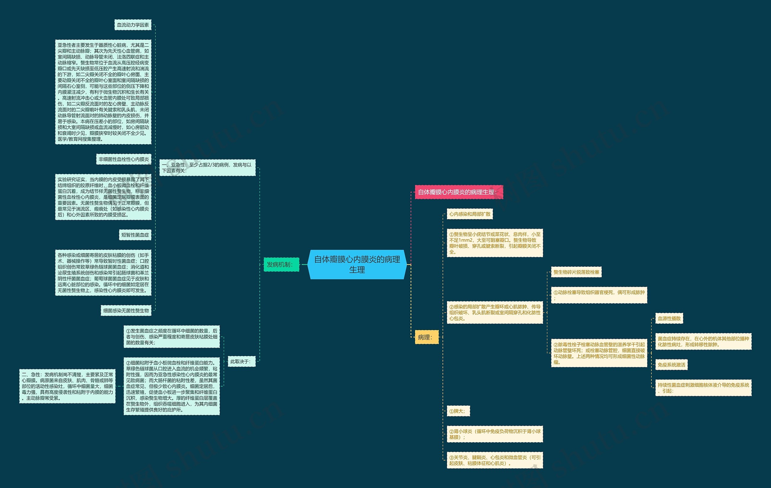 自体瓣膜心内膜炎的病理生理思维导图