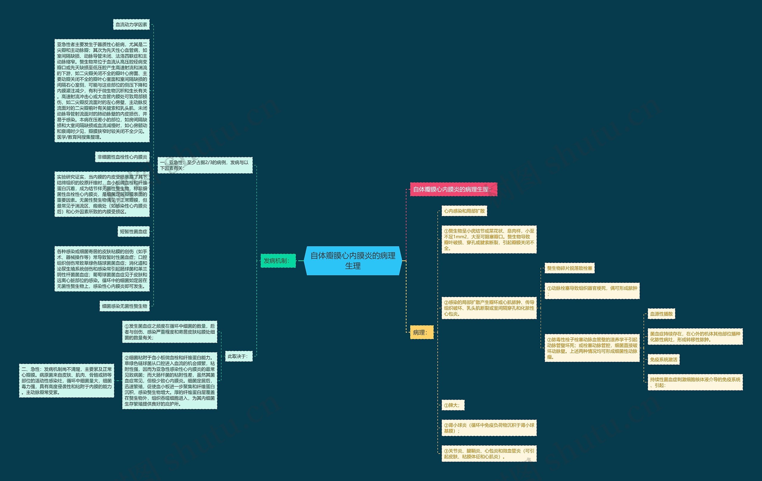 自体瓣膜心内膜炎的病理生理 自体瓣膜心内膜炎的病理生理