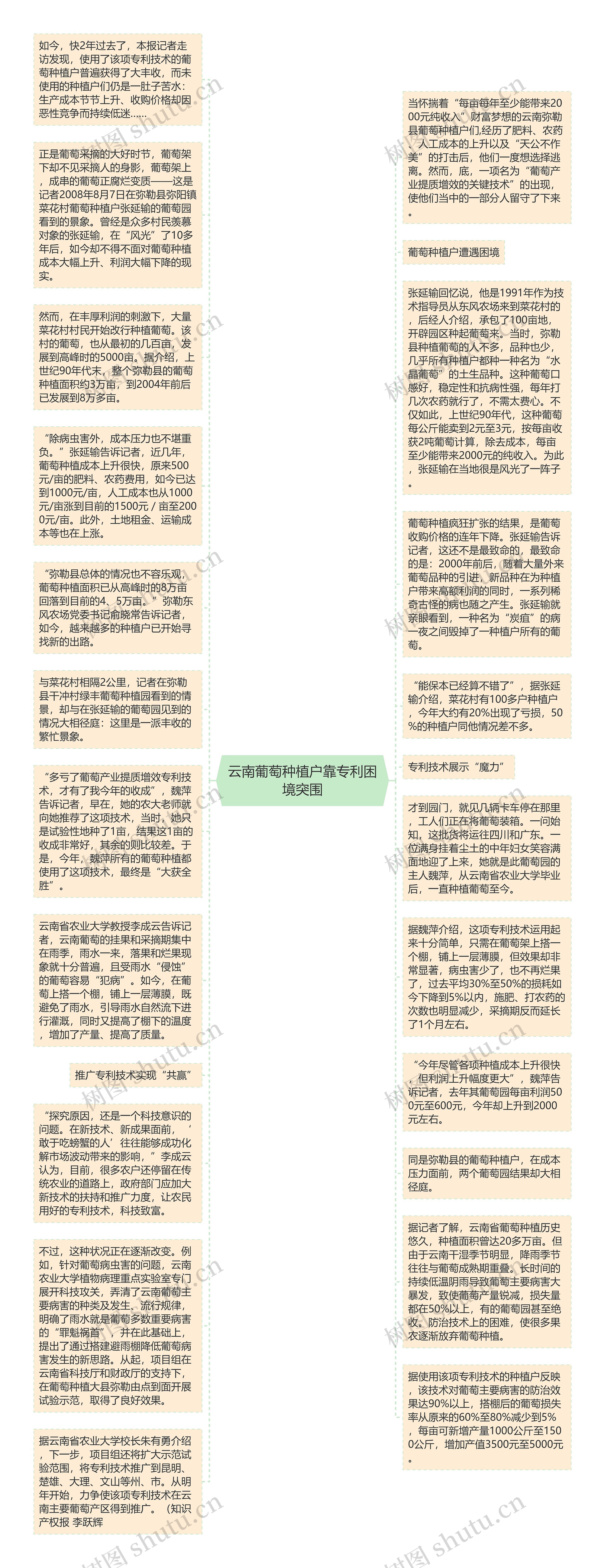 云南葡萄种植户靠专利困境突围思维导图