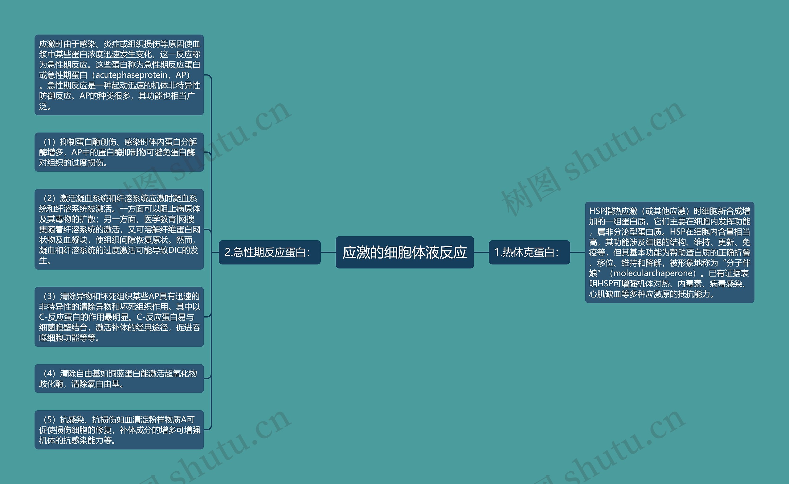 应激的细胞体液反应思维导图