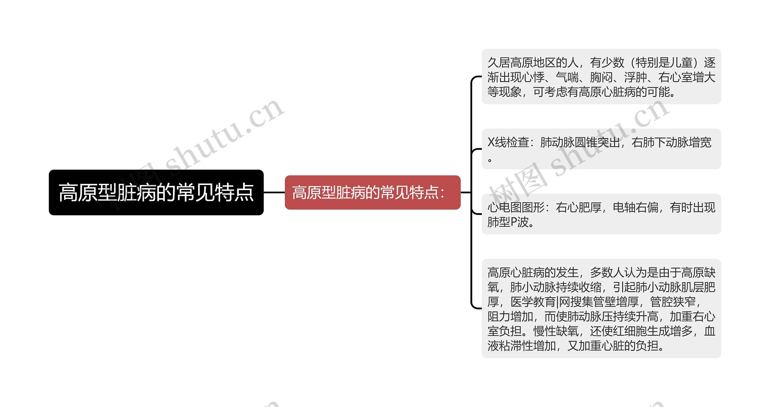 高原型脏病的常见特点思维导图