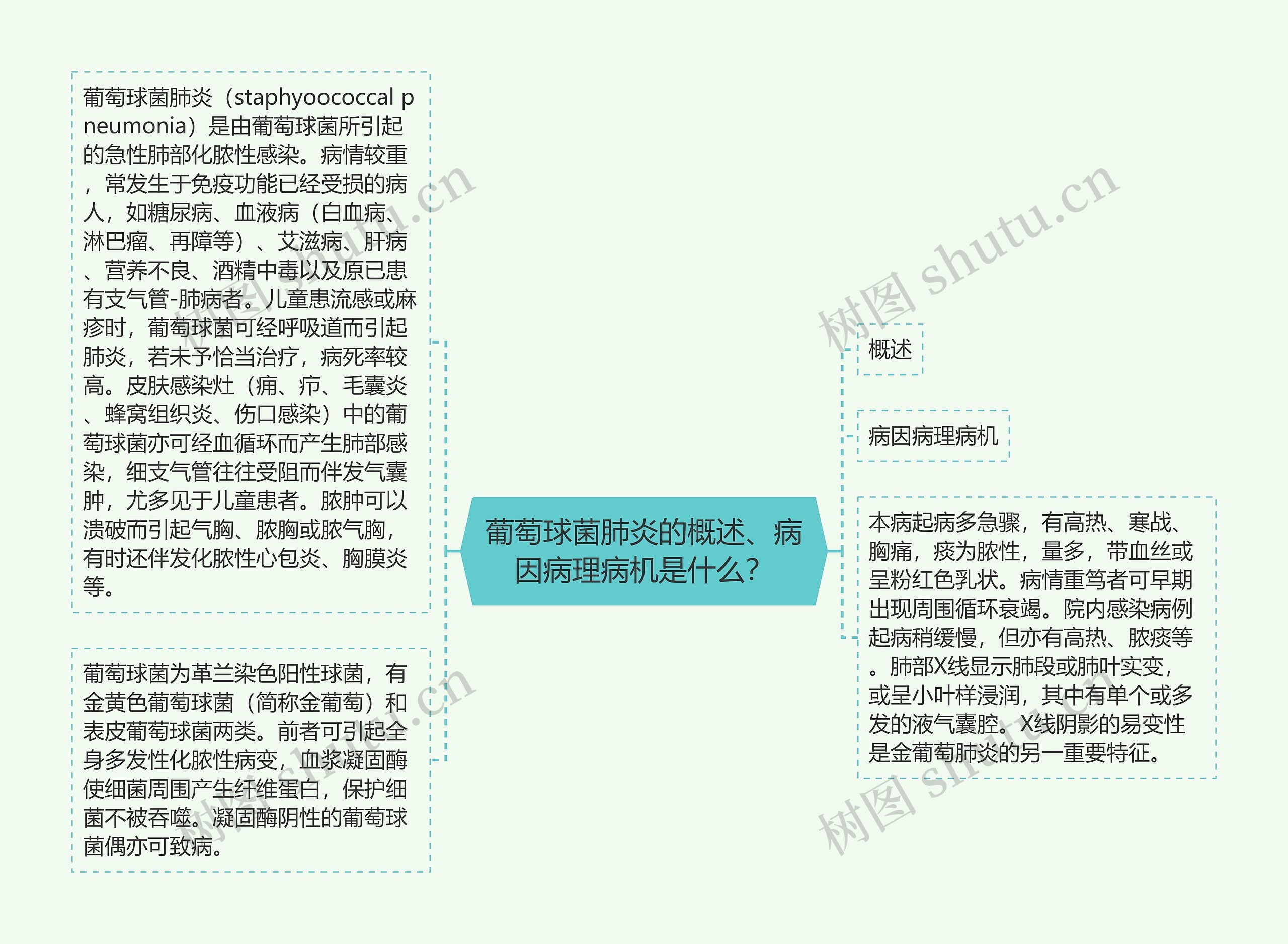 葡萄球菌肺炎的概述、病因病理病机是什么？思维导图