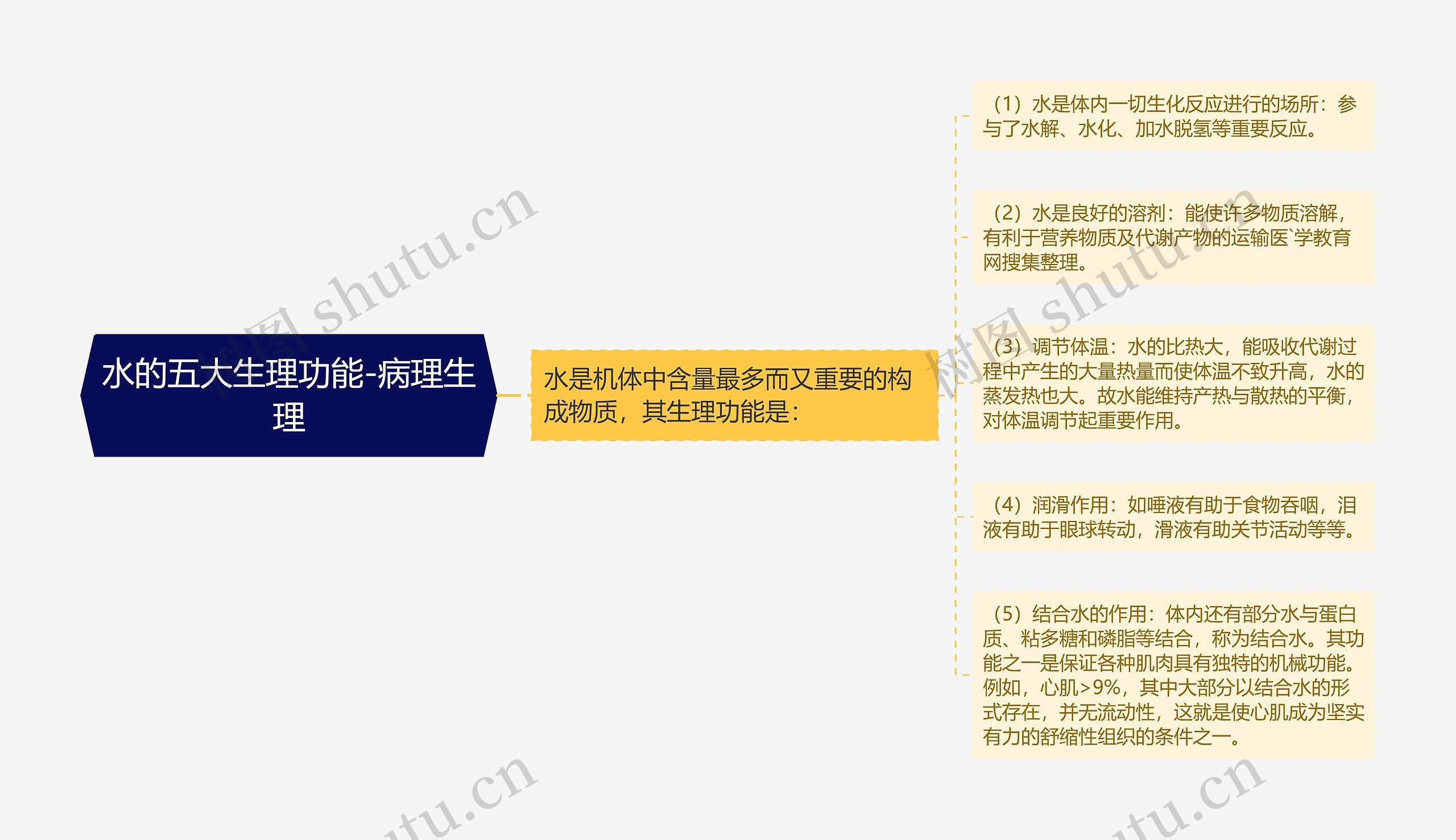 水的五大生理功能-病理生理思维导图