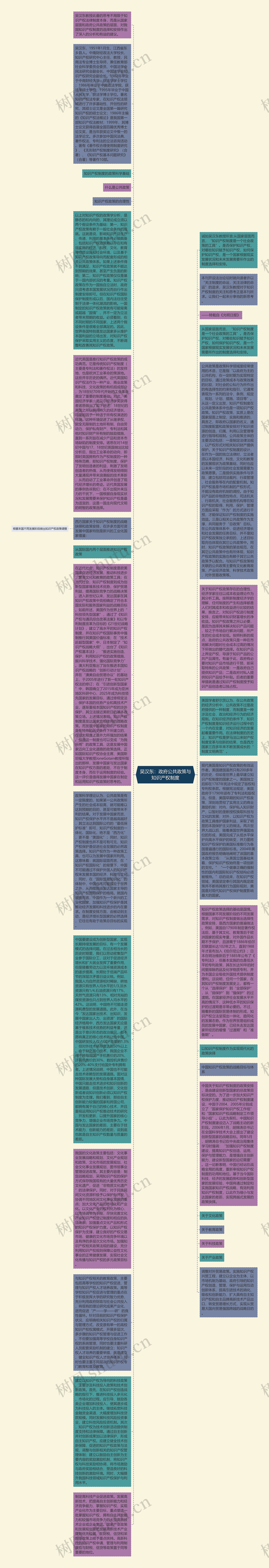 吴汉东：政府公共政策与知识产权制度