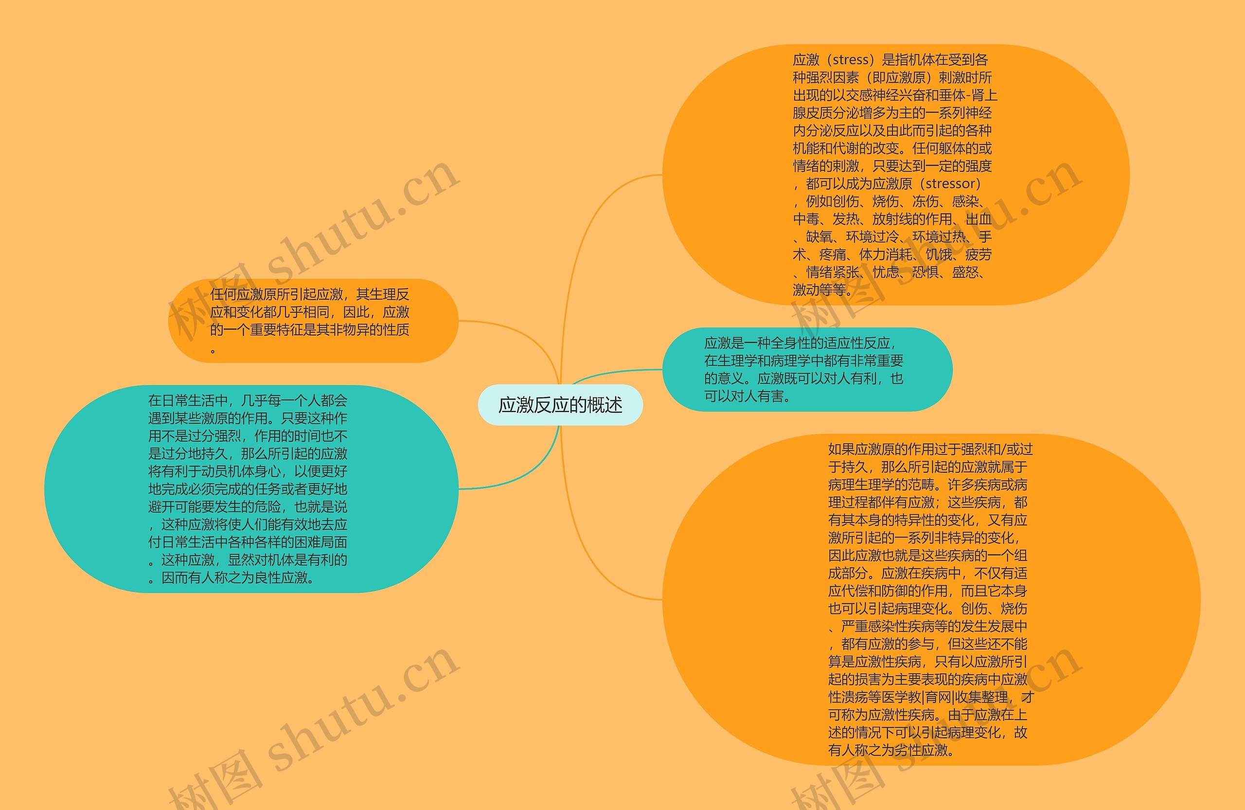 应激反应的概述思维导图