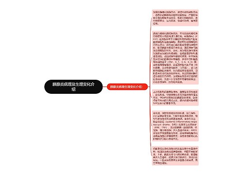 胰腺炎病理及生理变化介绍