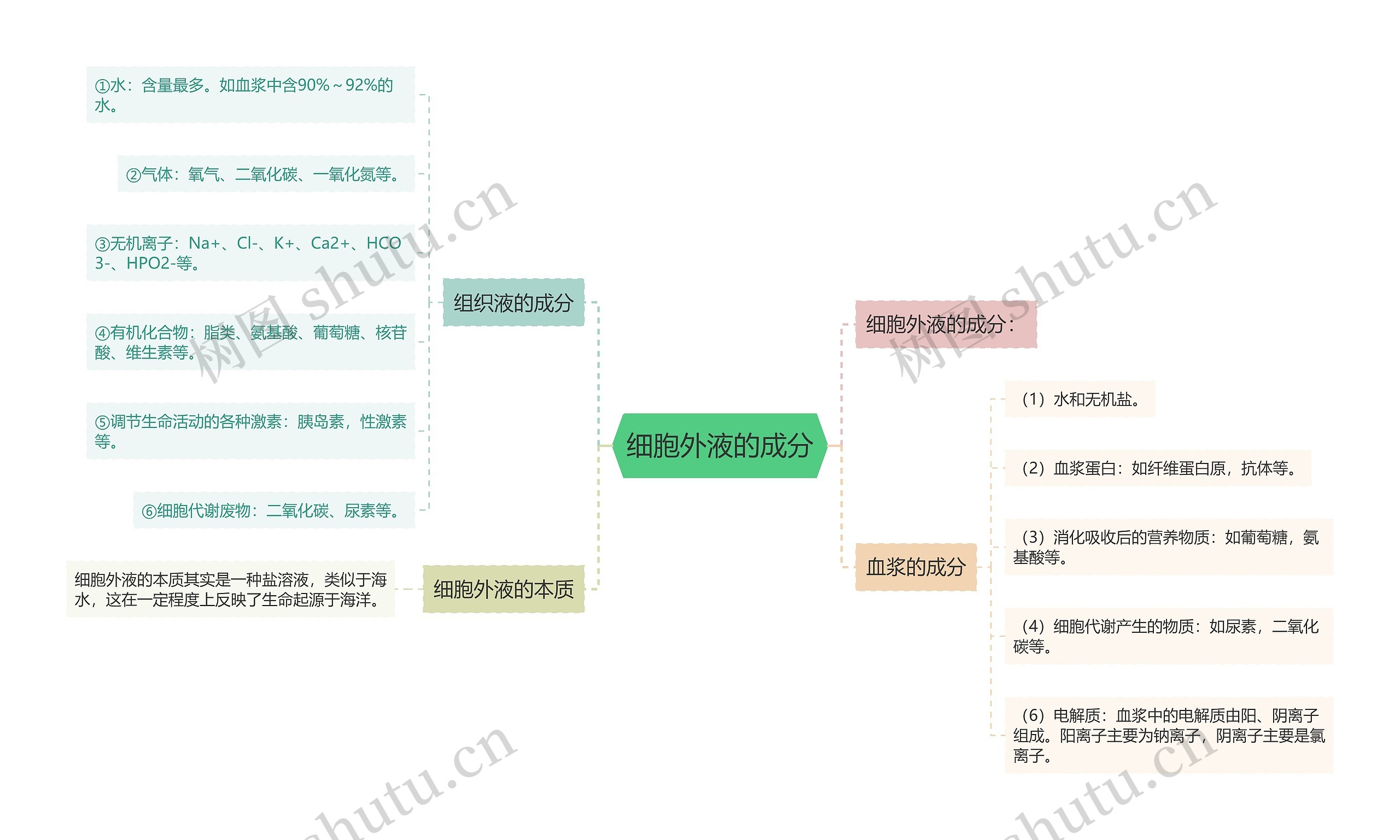 细胞外液的成分思维导图
