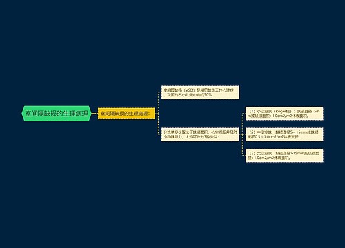 室间隔缺损的生理病理
