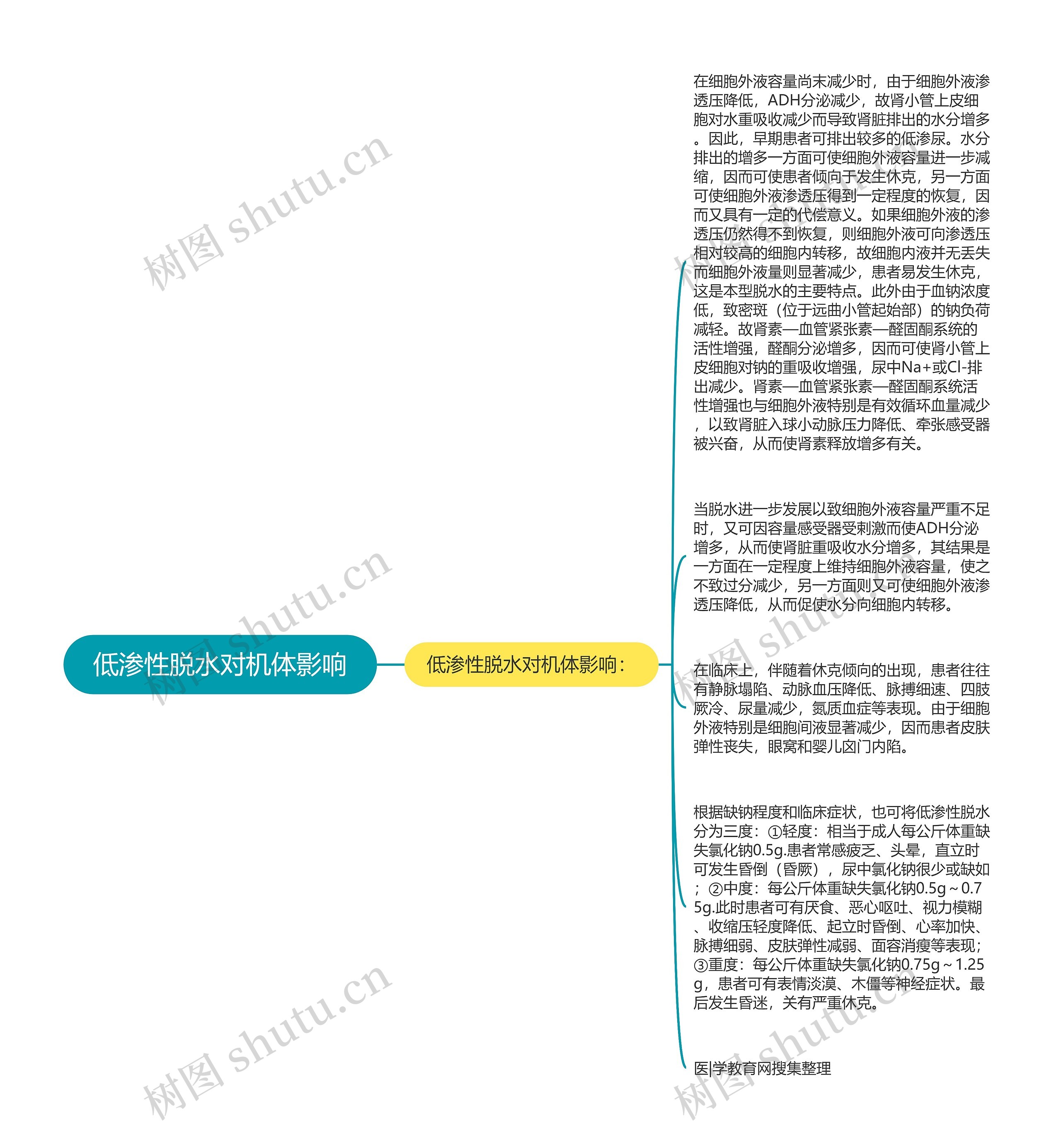 低渗性脱水对机体影响思维导图