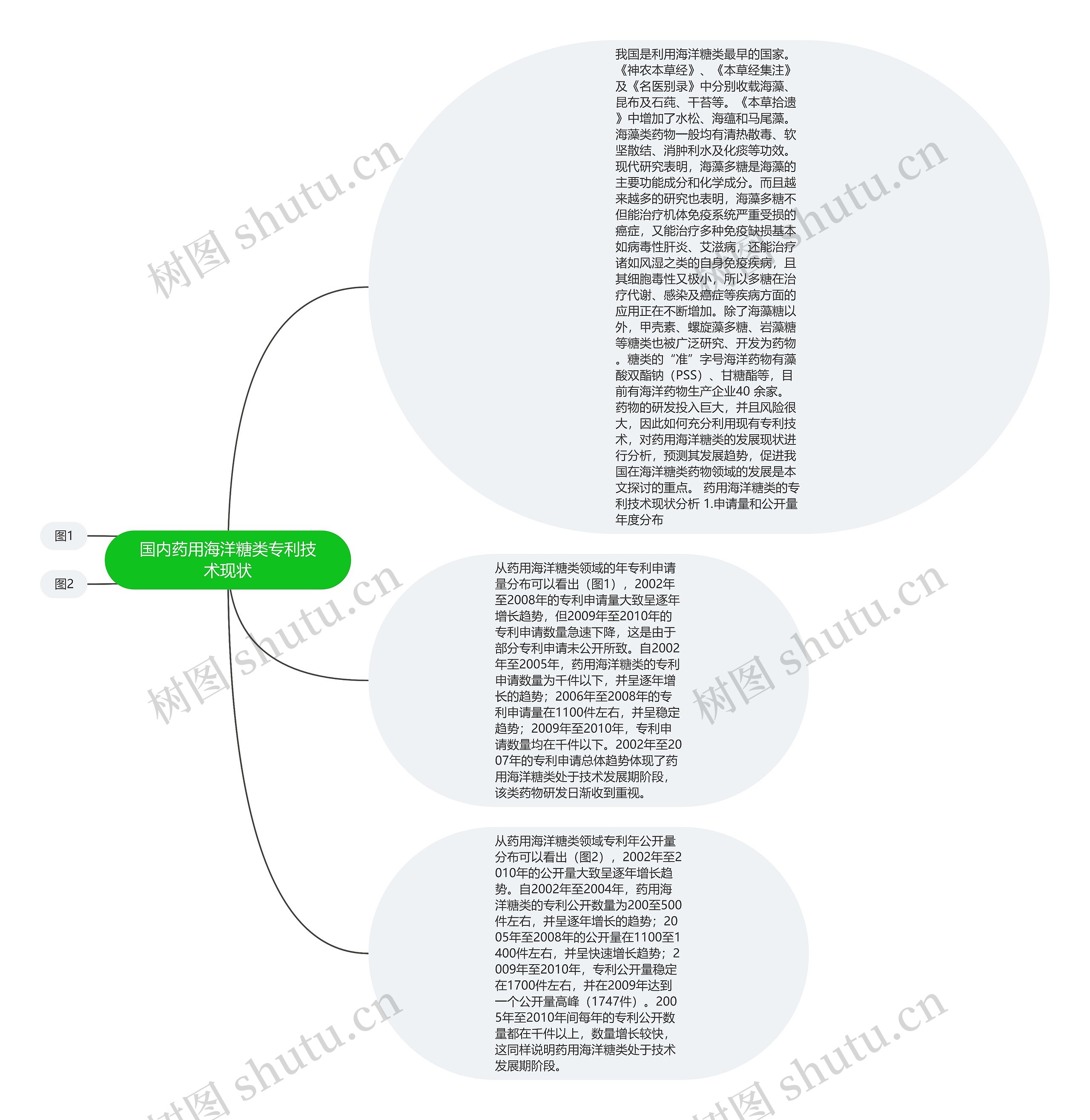国内药用海洋糖类专利技术现状思维导图