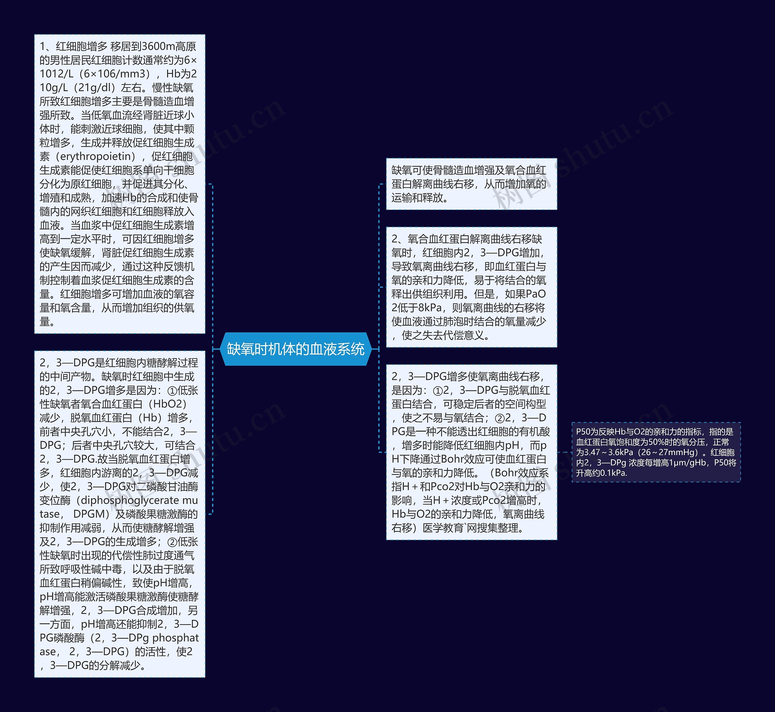 缺氧时机体的血液系统思维导图