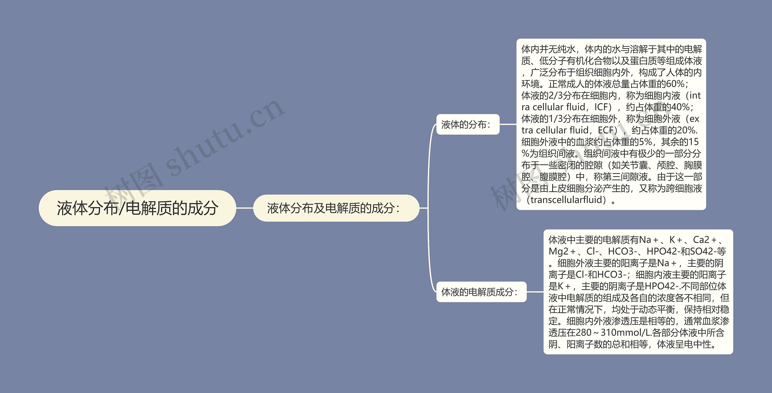 液体分布/电解质的成分思维导图