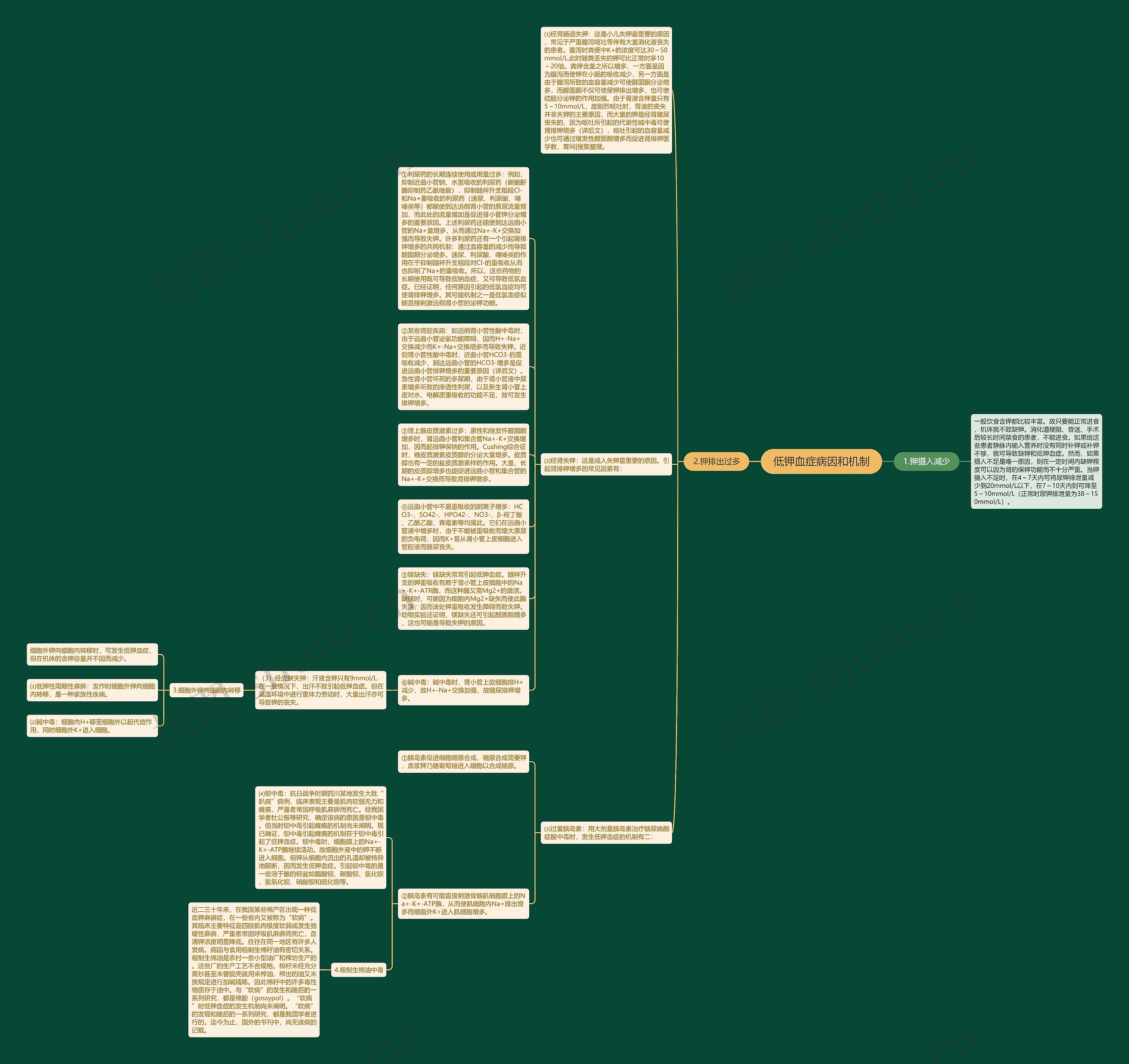 低钾血症病因和机制思维导图