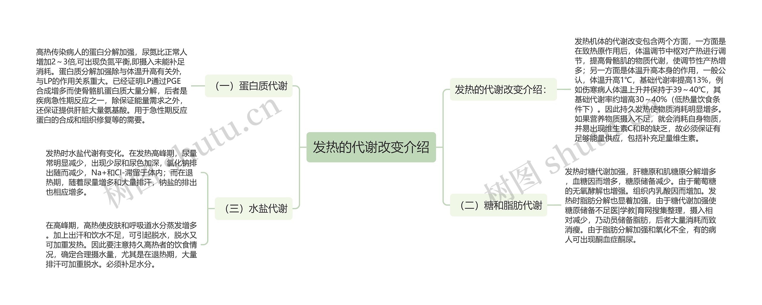 发热的代谢改变介绍