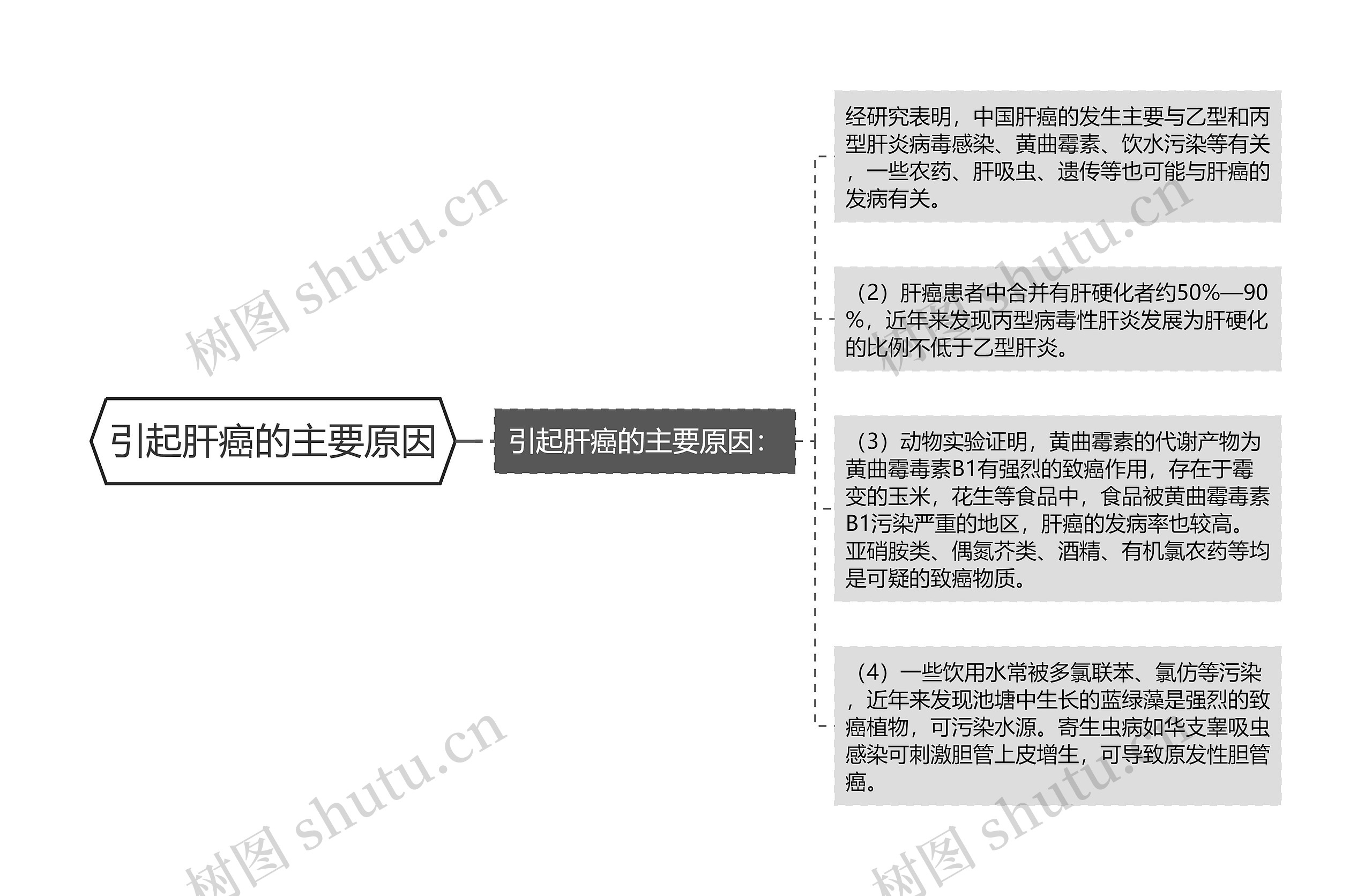 引起肝癌的主要原因