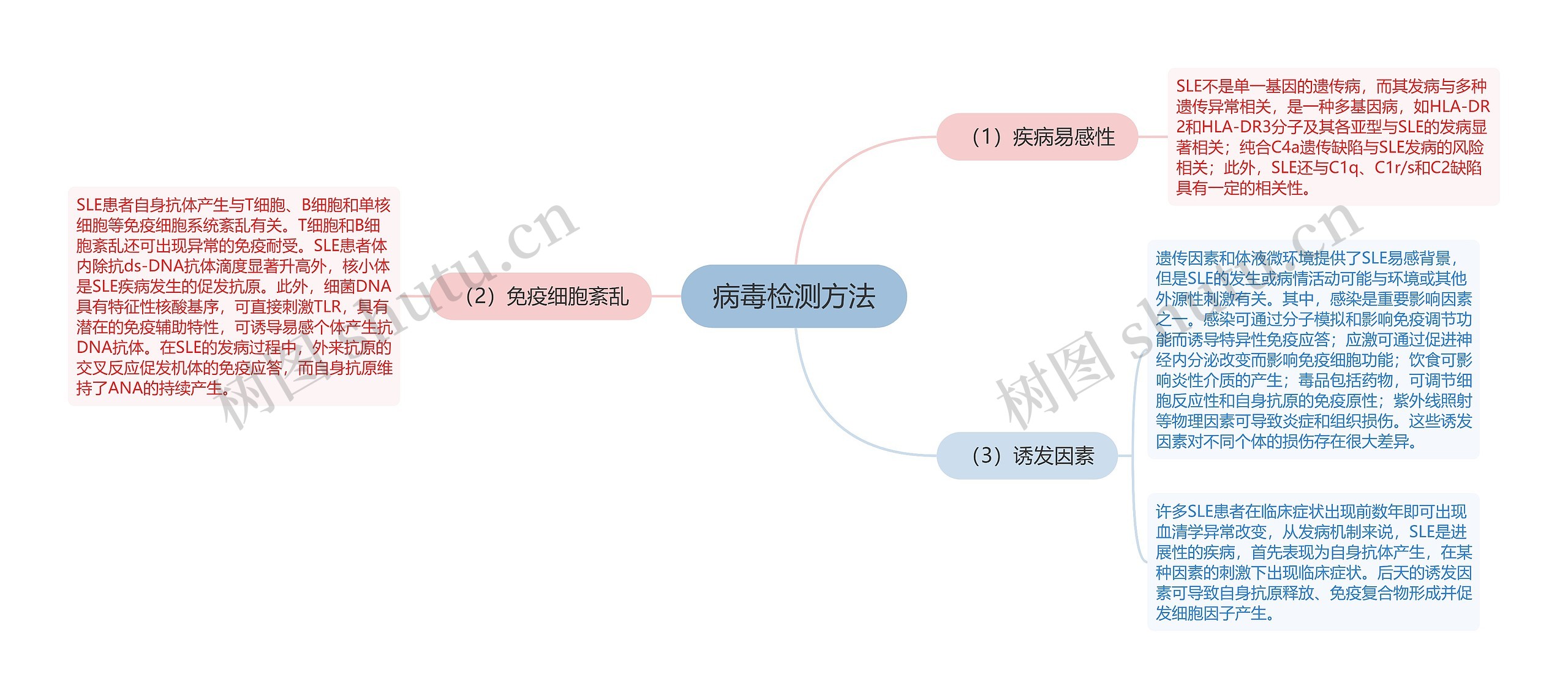 病毒检测方法