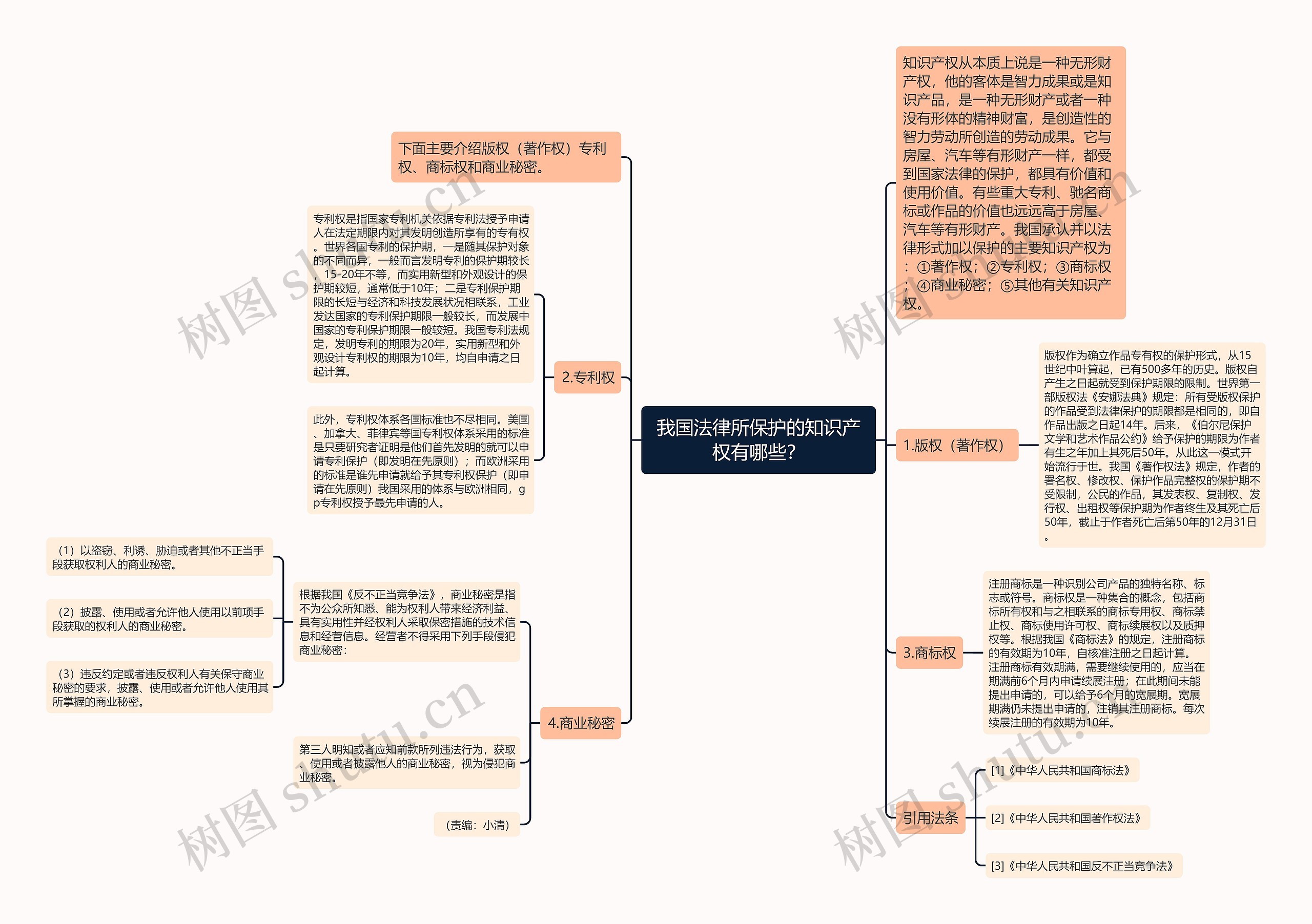 我国法律所保护的知识产权有哪些？思维导图