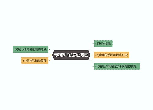 专利保护的禁止范围