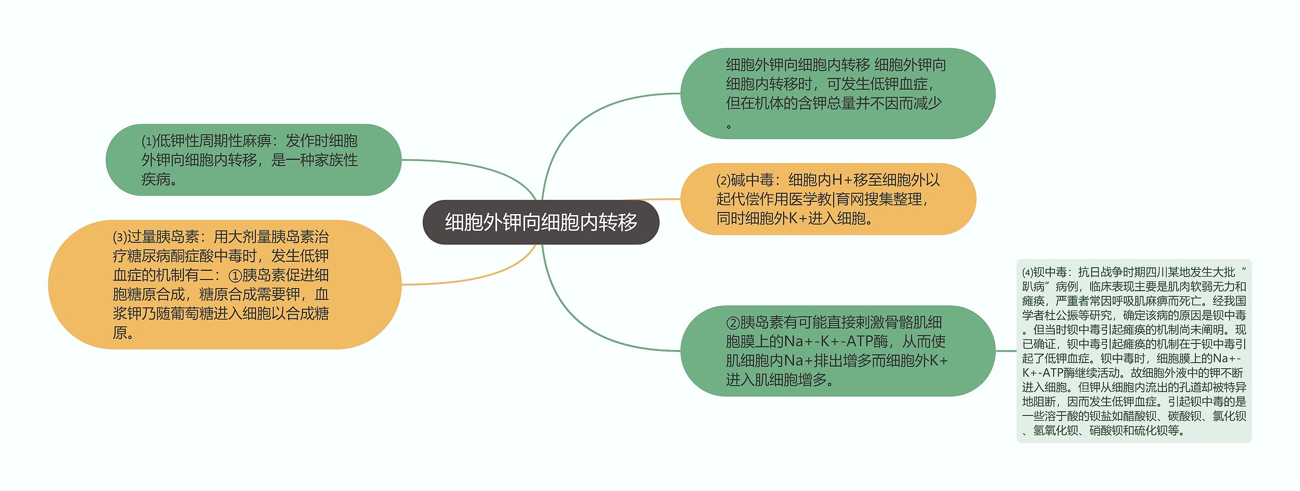 细胞外钾向细胞内转移思维导图