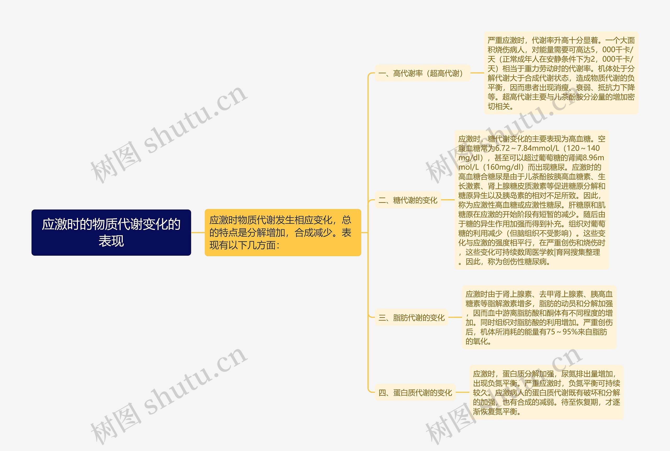 应激时的物质代谢变化的表现思维导图