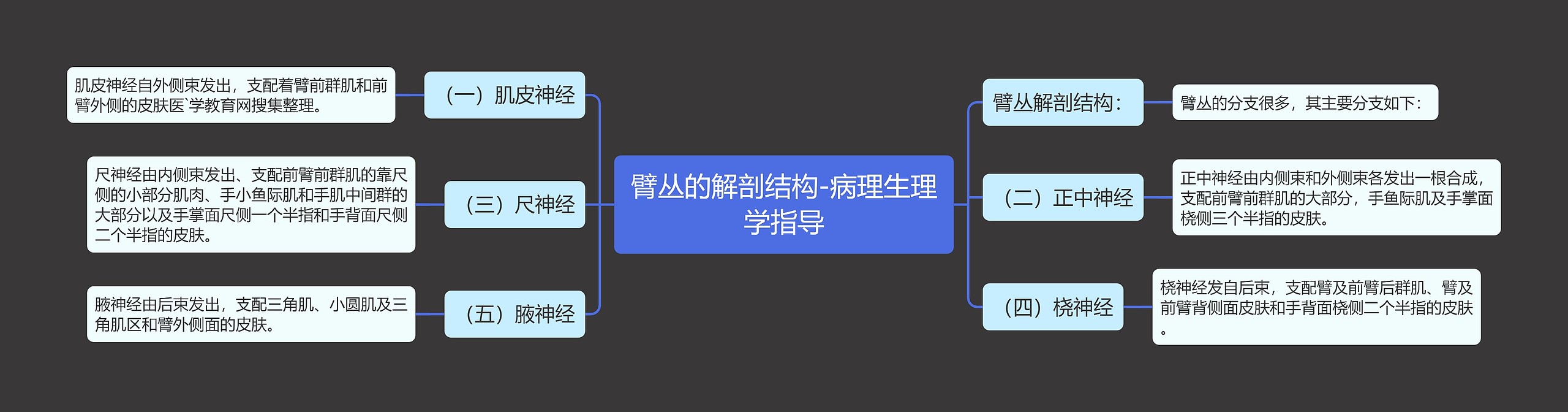 臂丛的解剖结构-病理生理学指导 臂丛的解剖结构-病理生理学指导