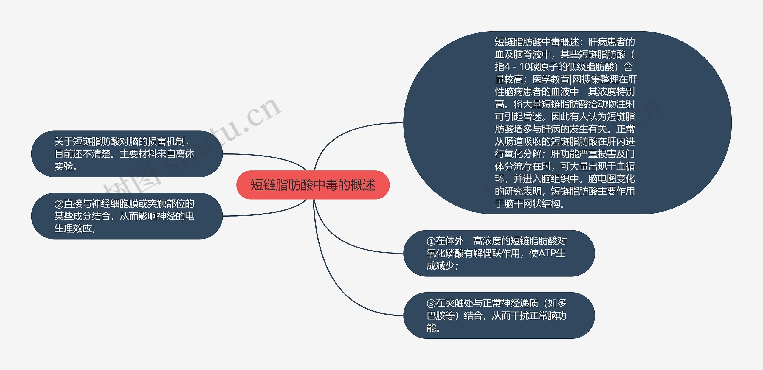 短链脂肪酸中毒的概述思维导图