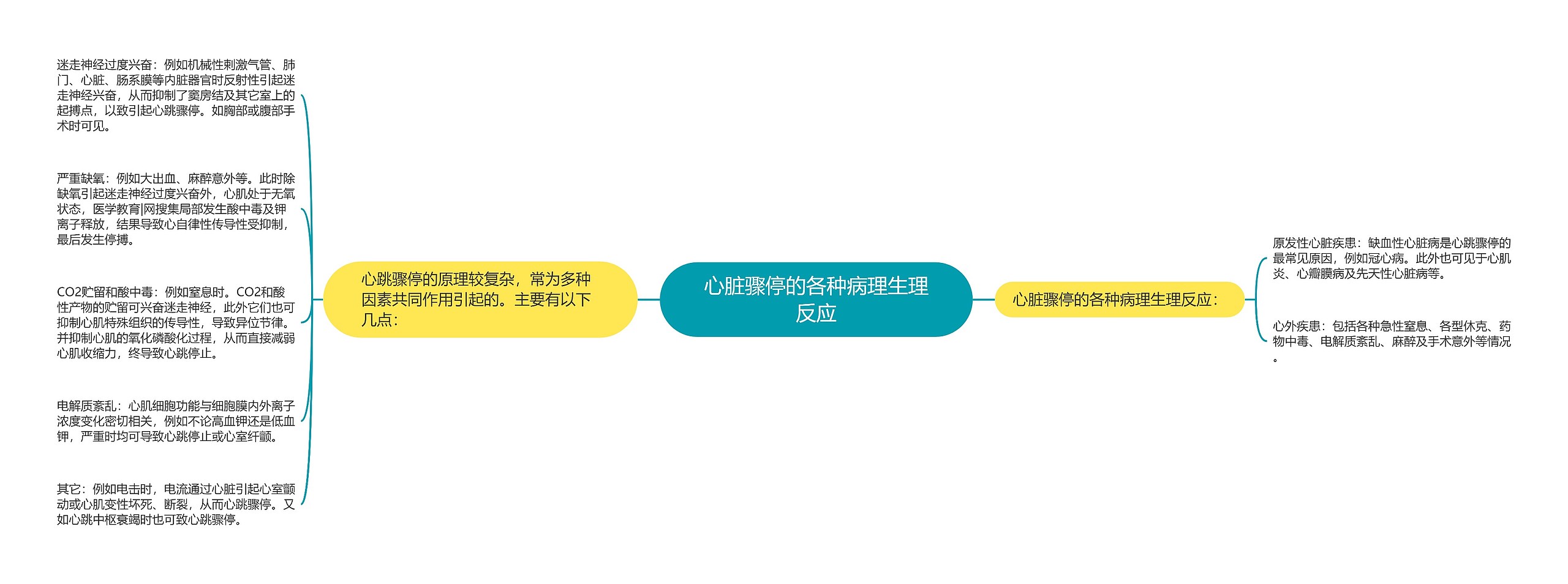 心脏骤停的各种病理生理反应 心脏骤停的各种病理生理反应